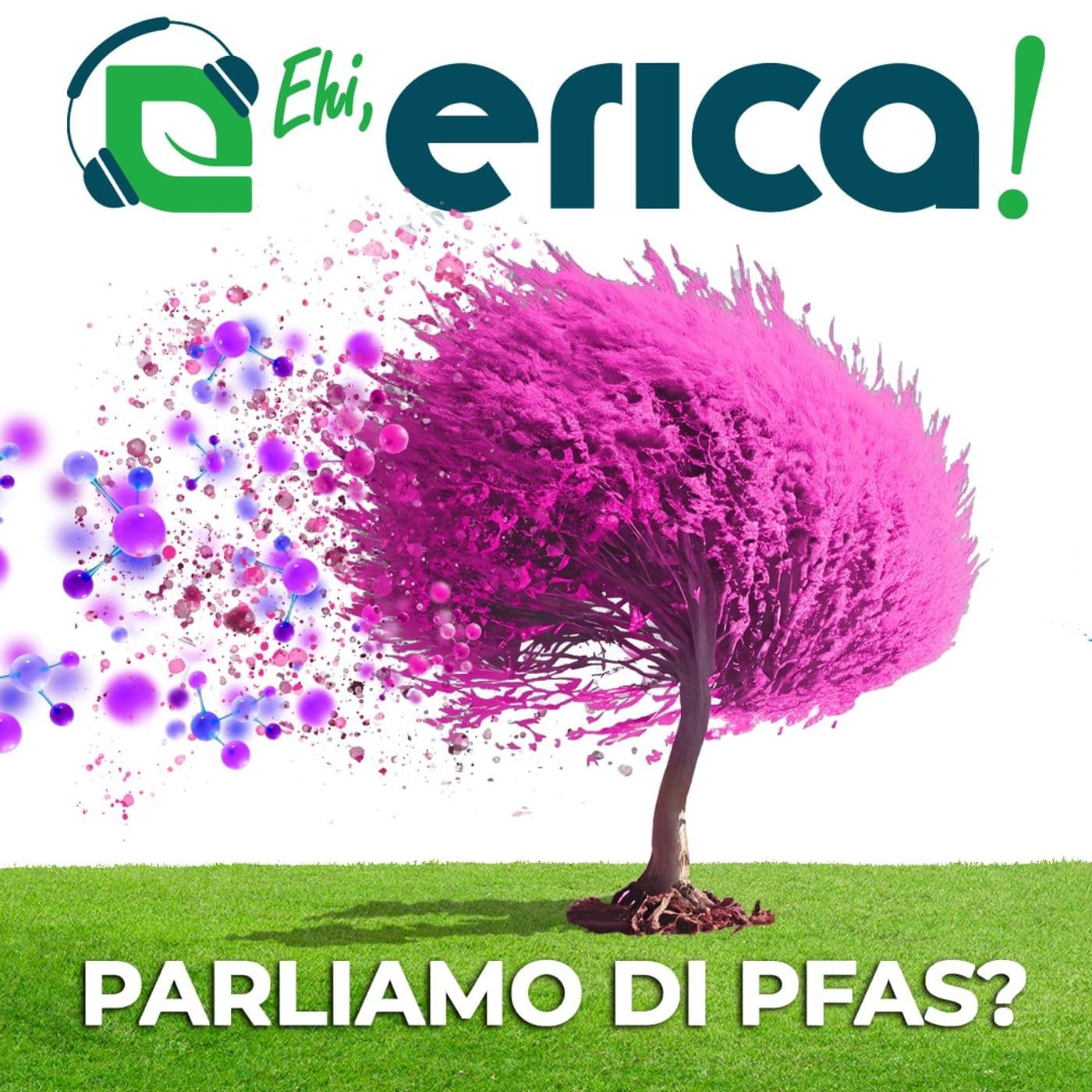 Ehi, Erica! Parliamo di PFAS? - Podcast