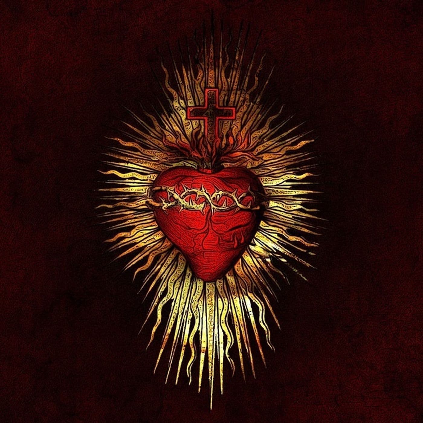 Scuola di sapienza cristiana - Podcast