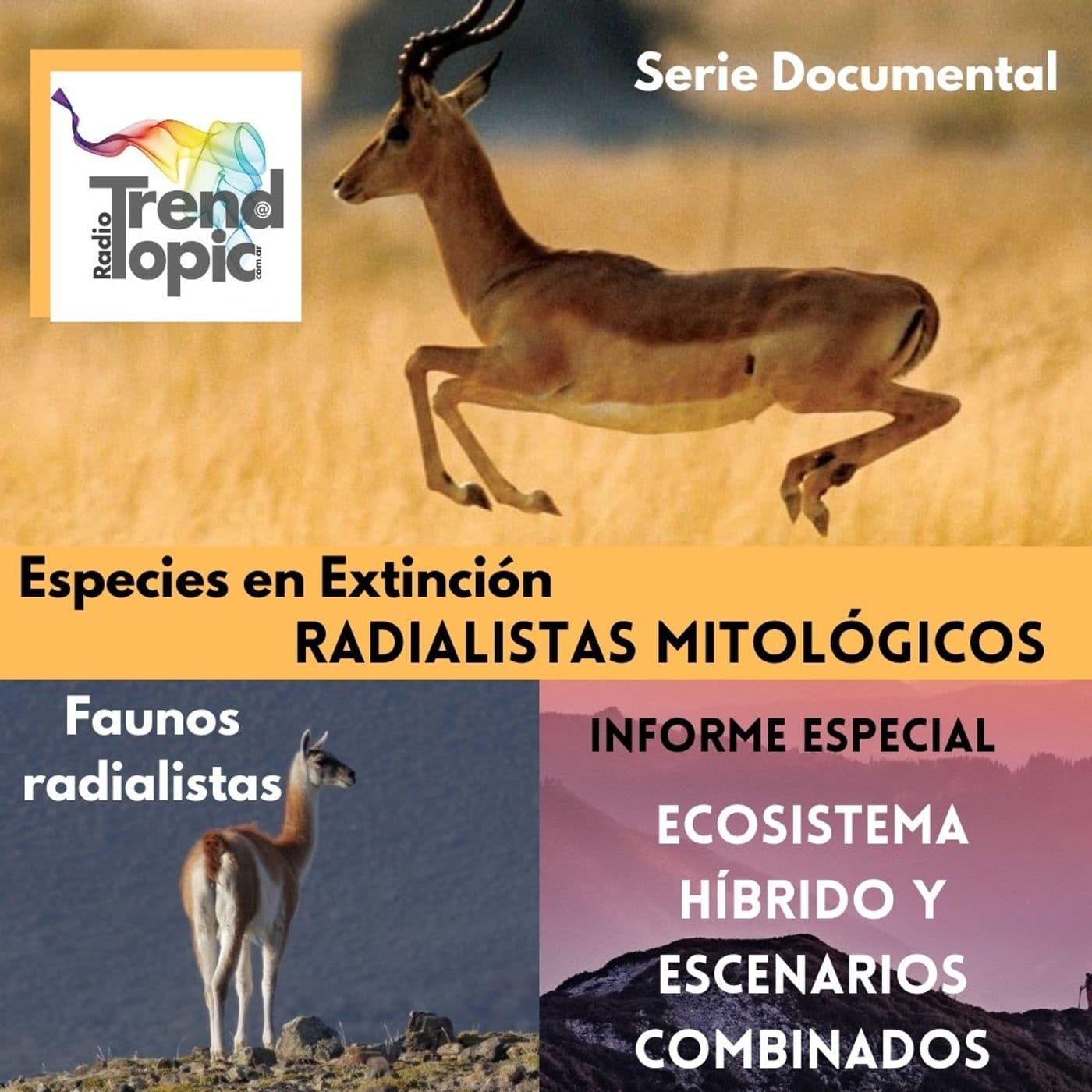 Radialistas Mitológicos - Serie Documental - Podcasts