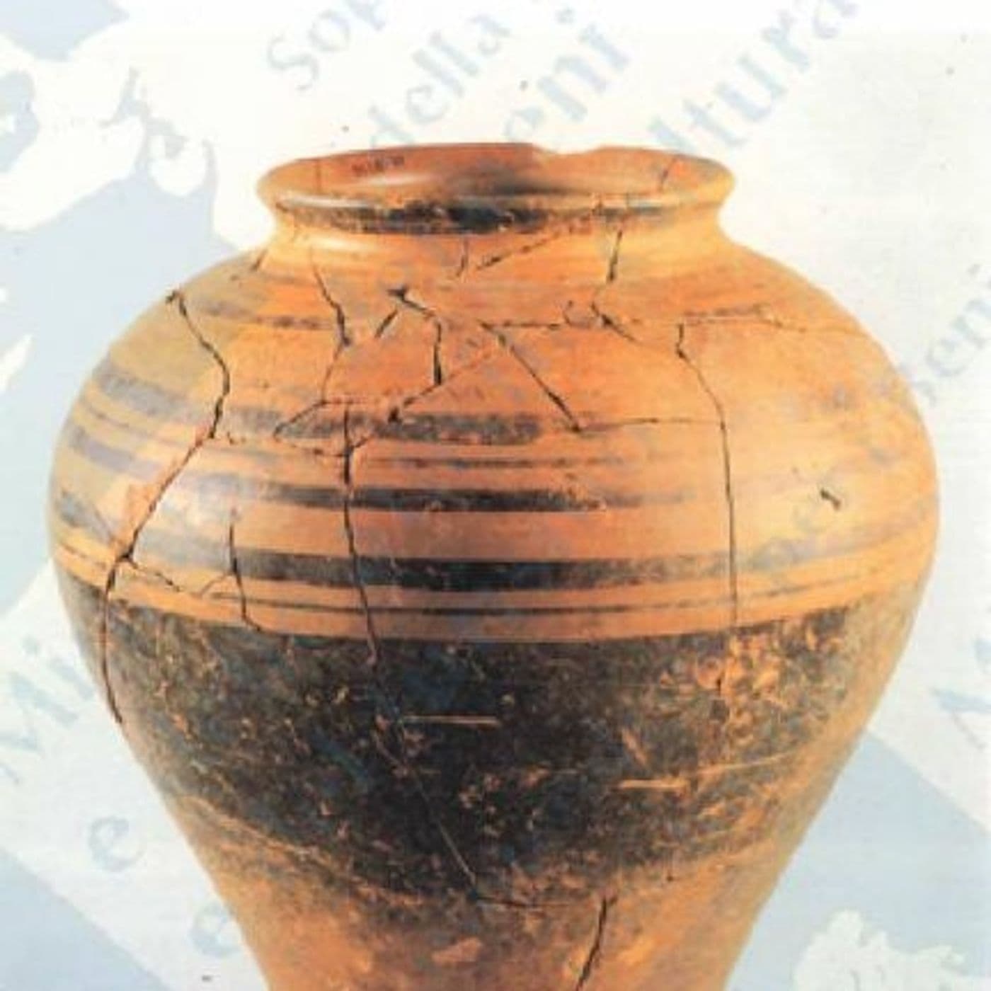 didattica museale - audiodescrizioni - Podcast