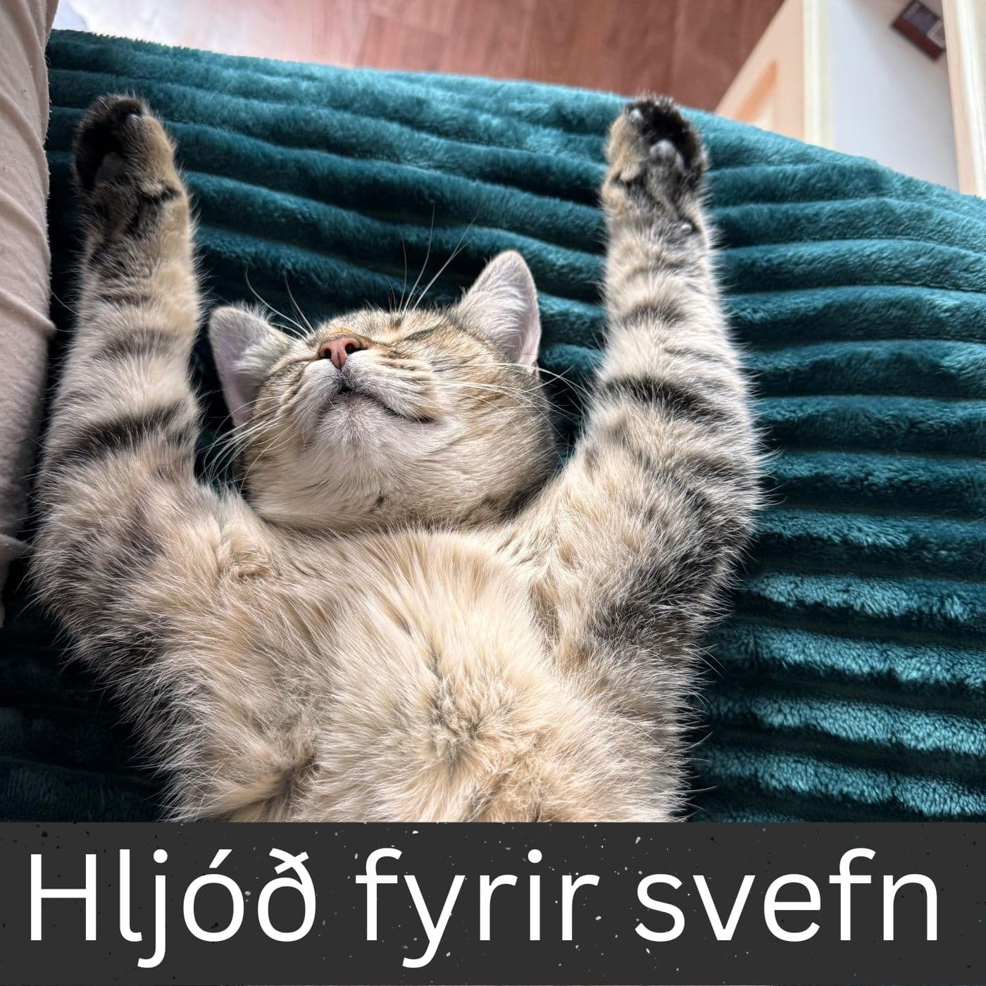 Hljóð fyrir svefn - Podcast