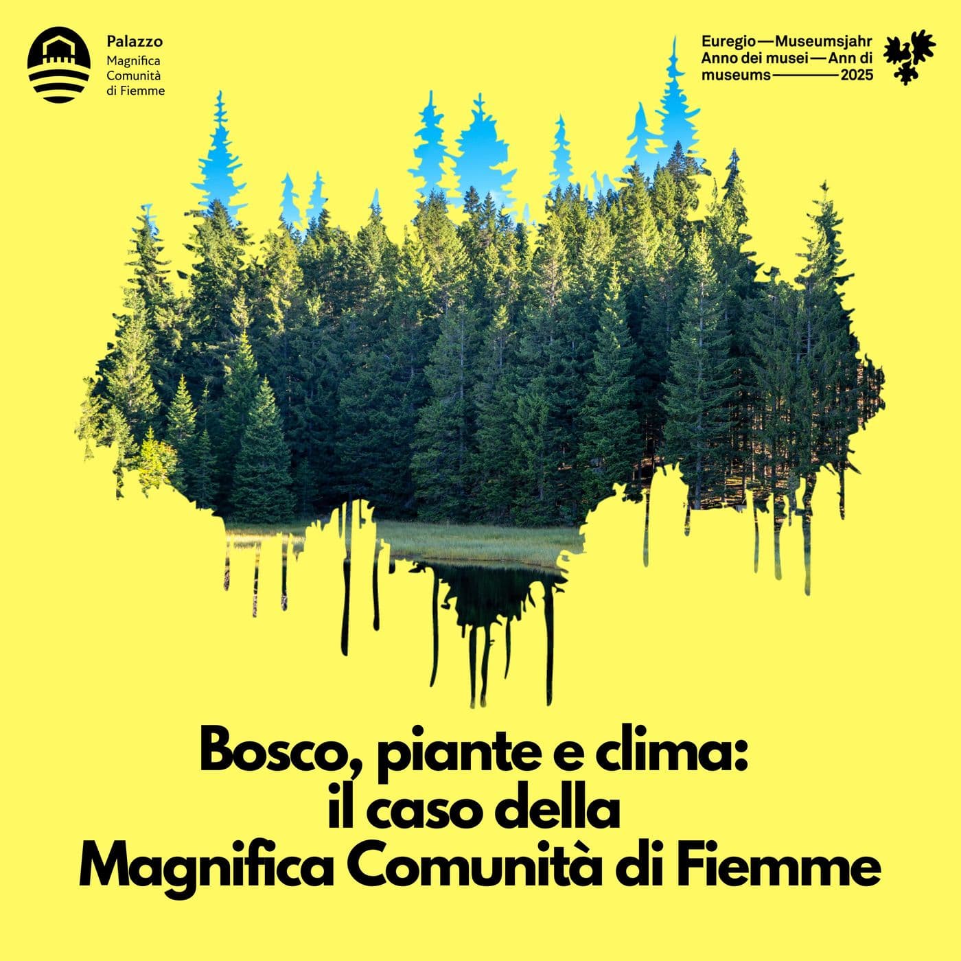 Bosco, piante e clima: il caso della Magnifica Comunità di Fiemme - Podcast