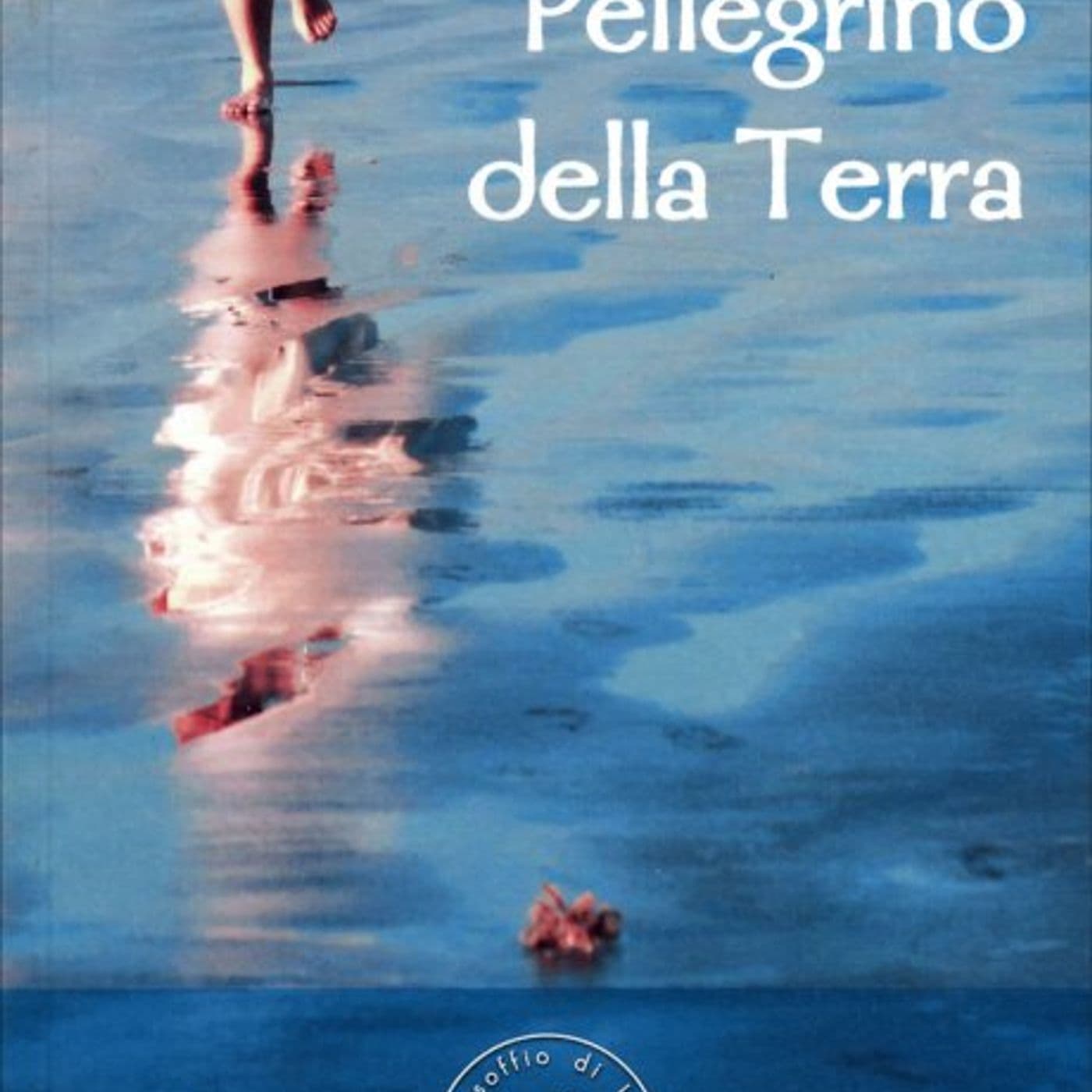 PELLEGRINO DELLA TERRA di Satish Kumar - Podcast