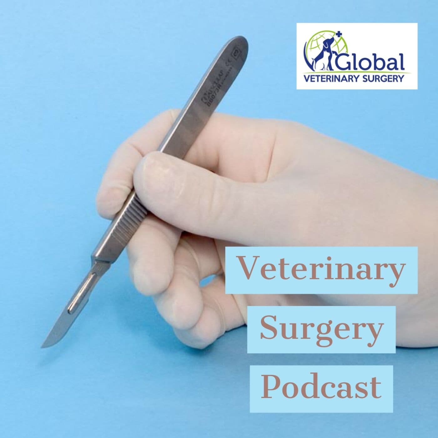 Veterinary Surgery Podcast - Podcasts
