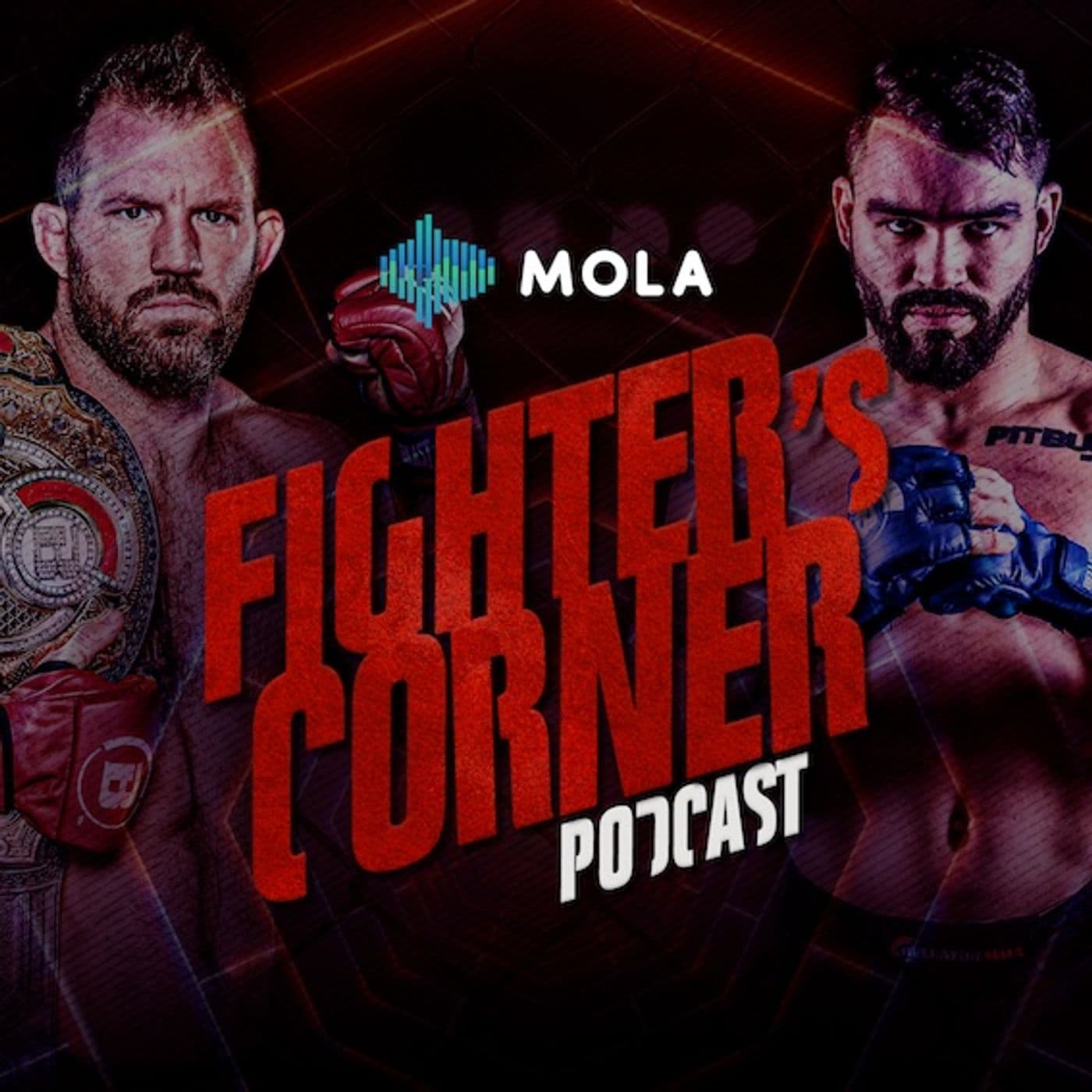 Fighter's Corner - Podcast