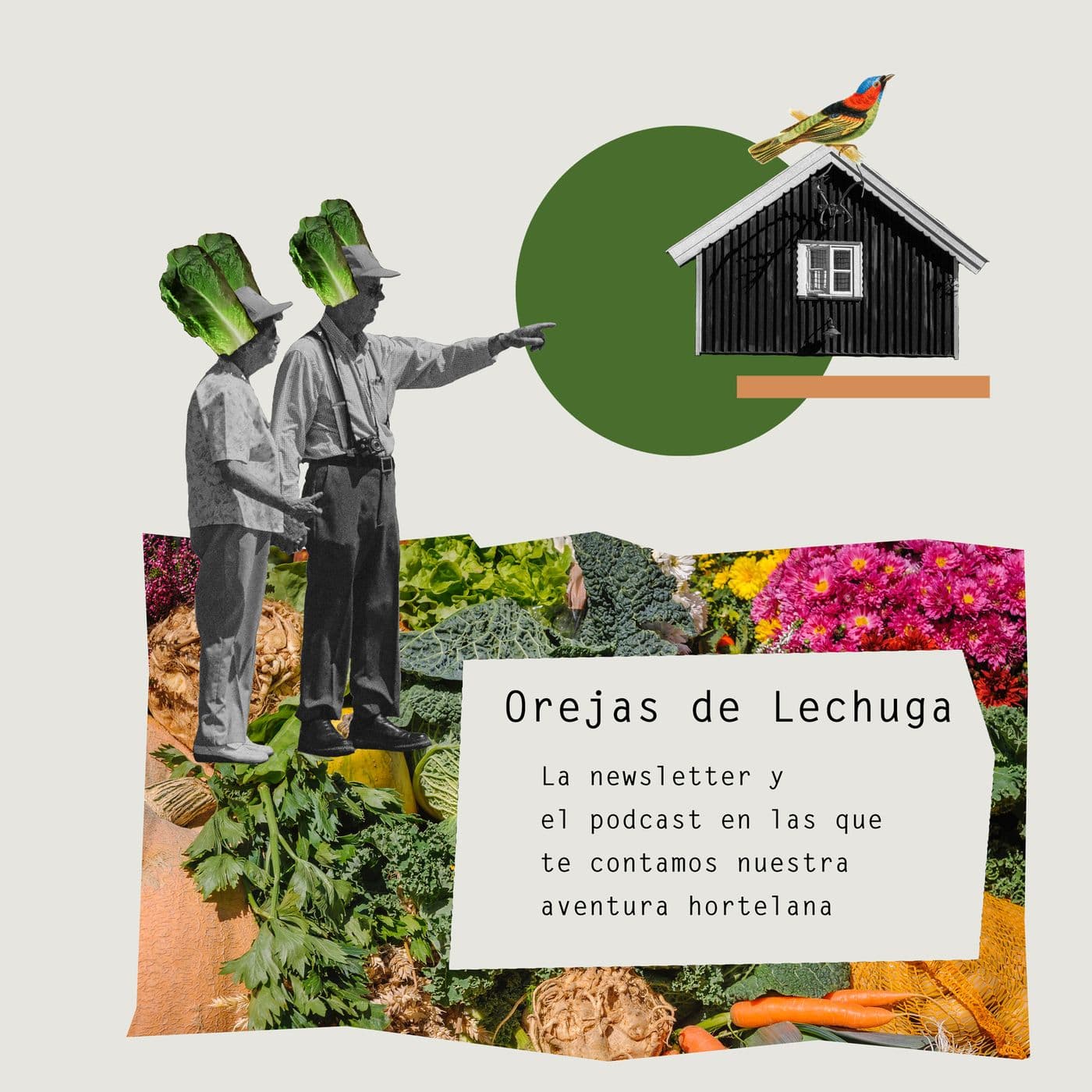 Huerto Urbano y Mini Casa - Podcasts