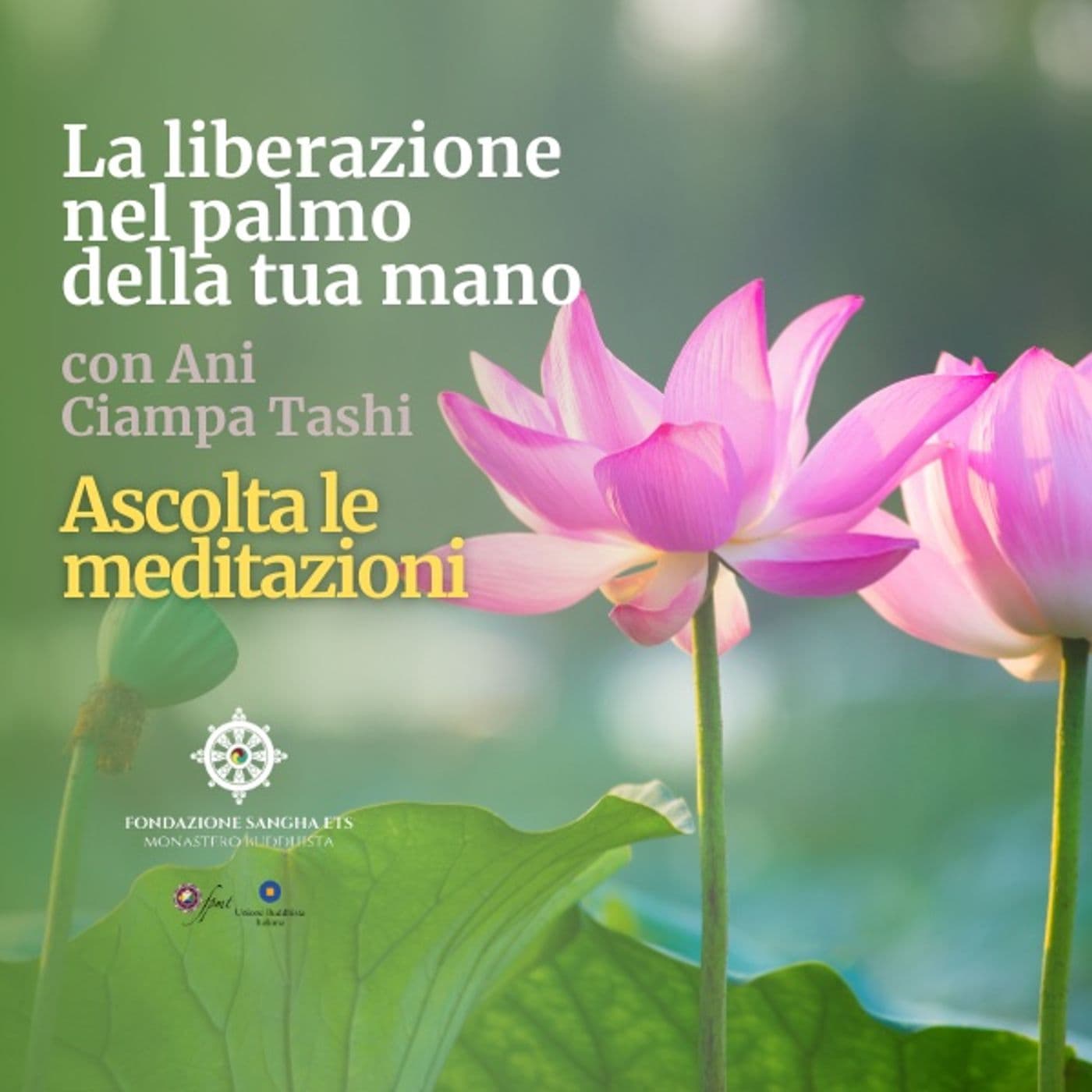 La liberazione nel palmo della tua mano - Podcast