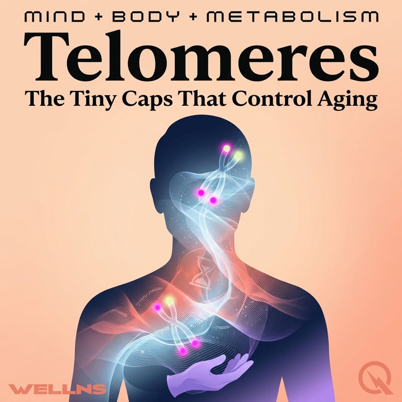 Telomeres - Podcasts