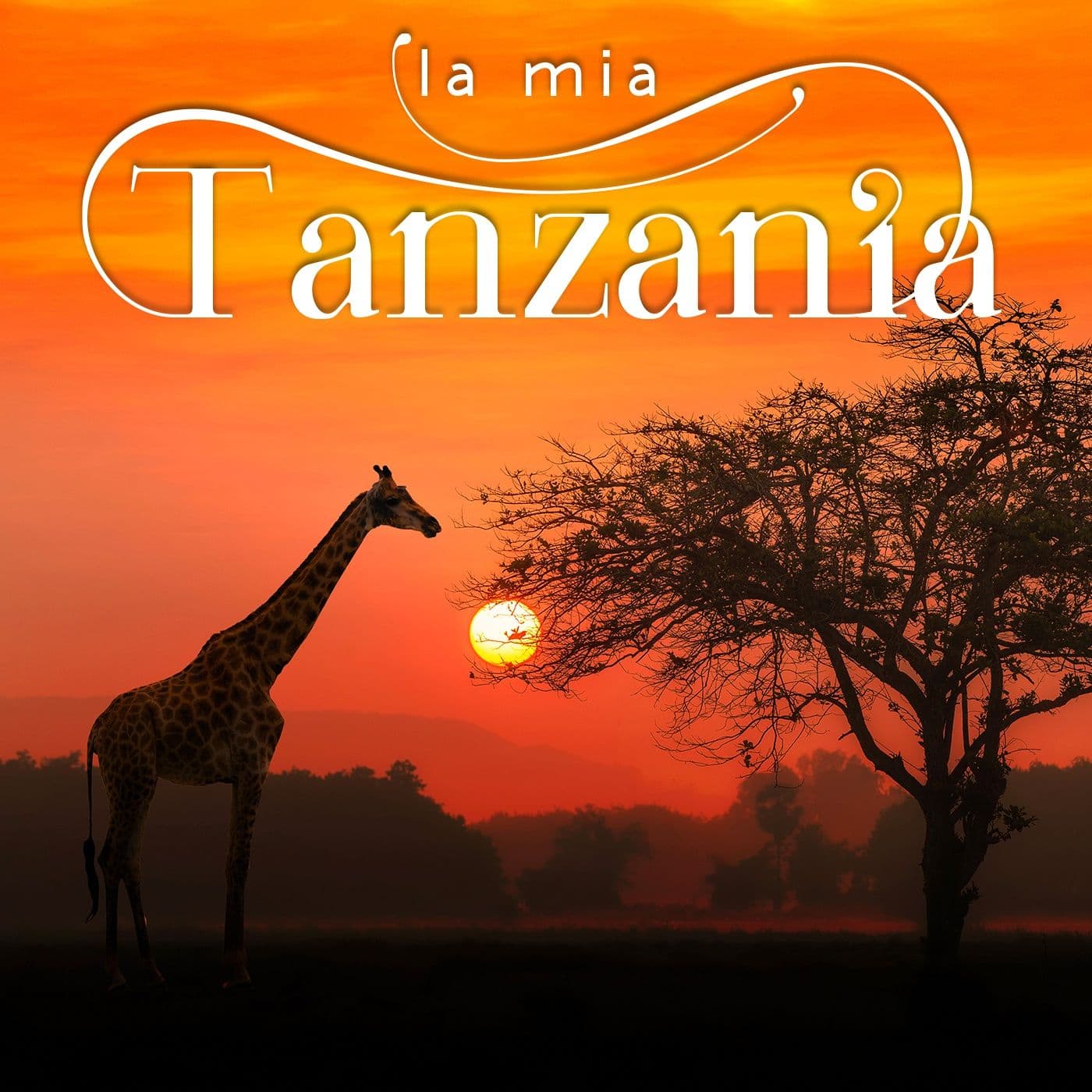 La mia Tanzania - Podcast