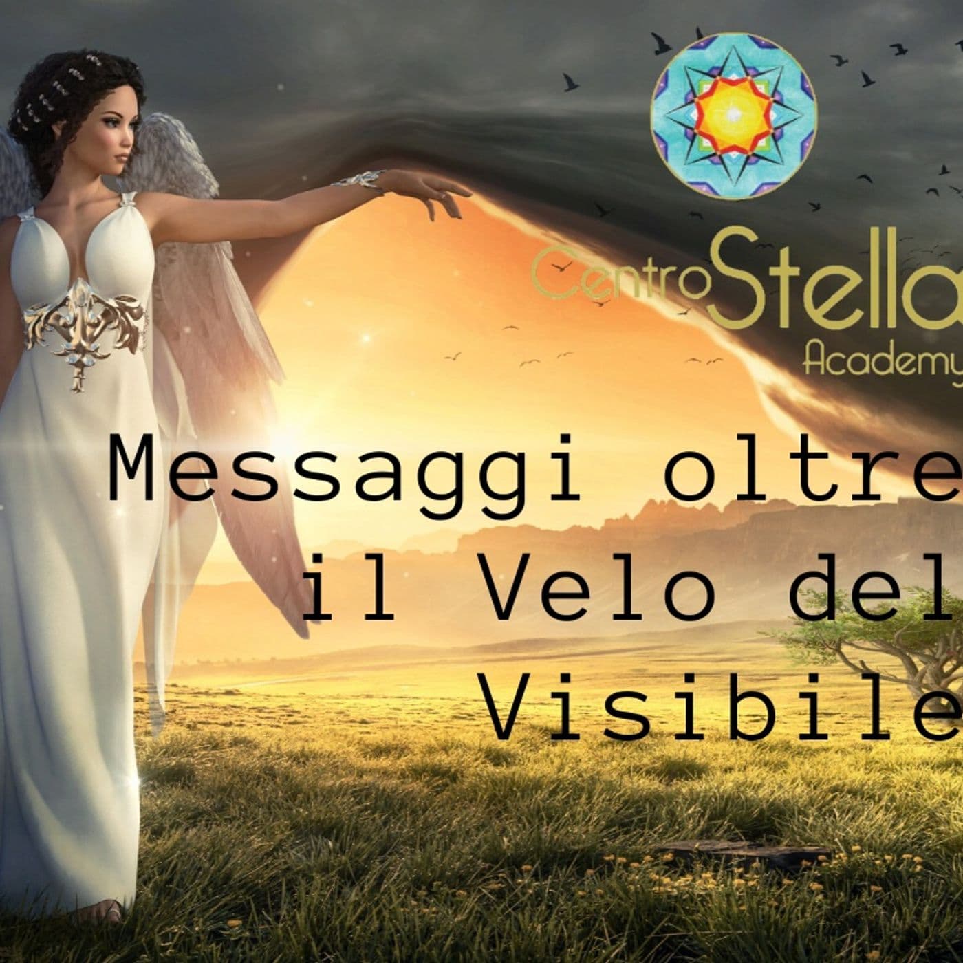 Messaggi oltre il Velo del Visibile a cura di Sabrina Beretta - Podcast