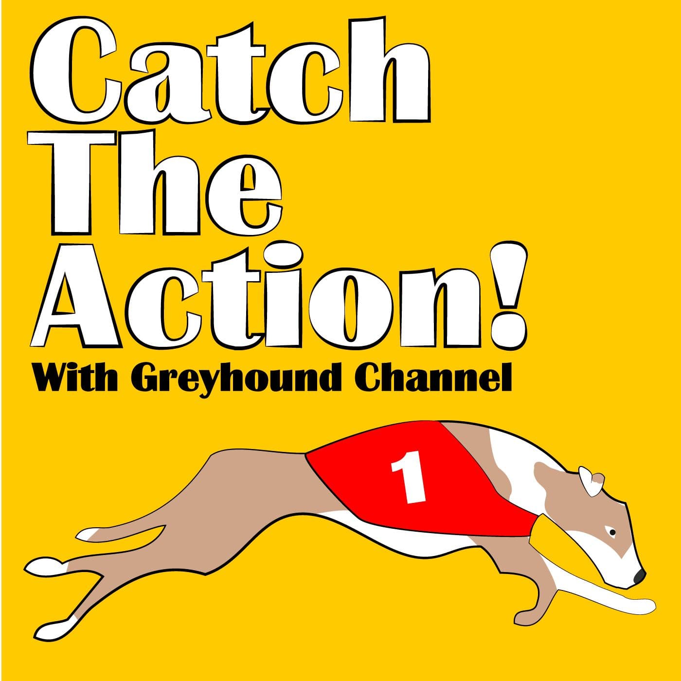Catch The Action! - بودكاست