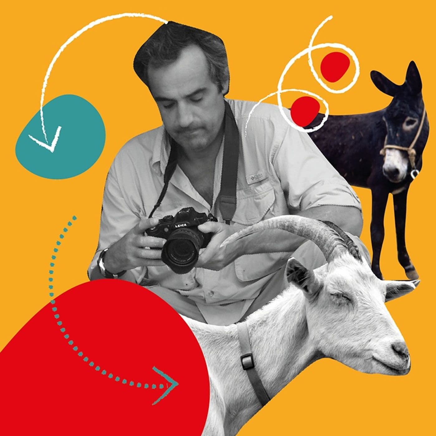 Ancora uno scatto - Podcast