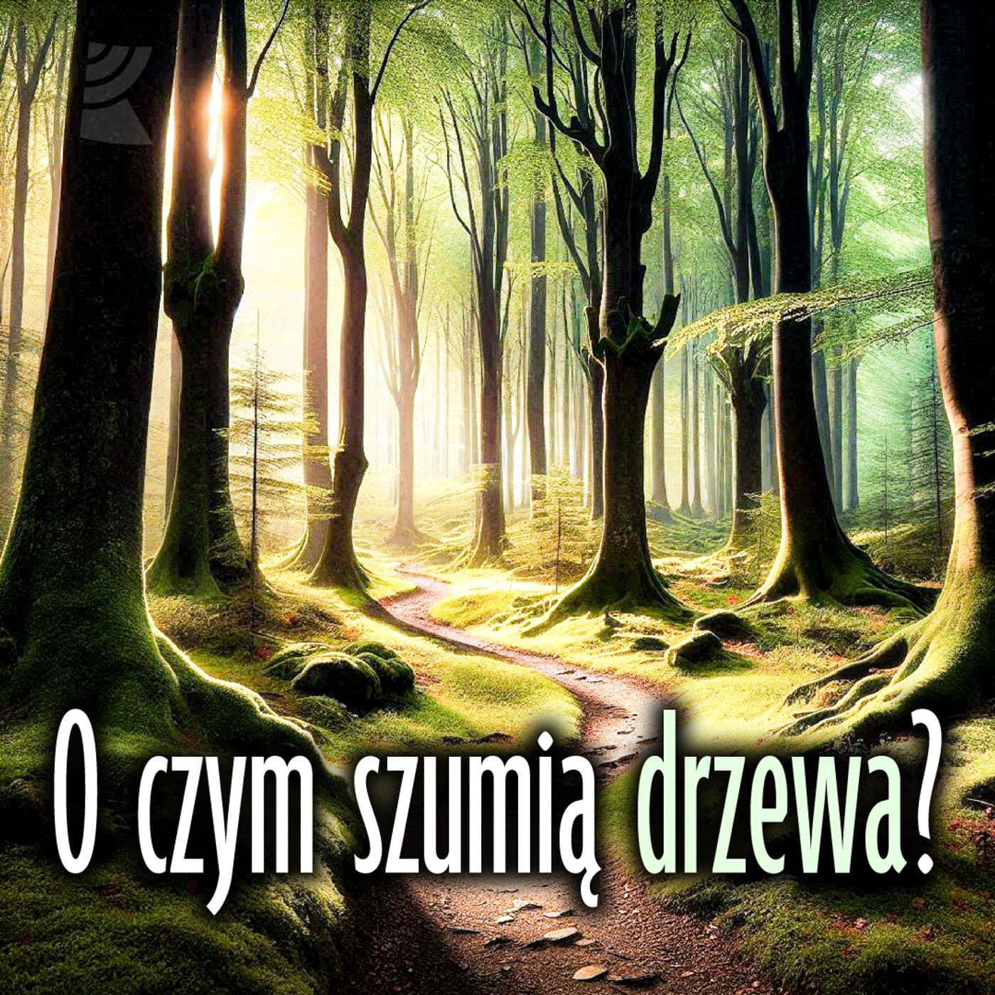 O czym szumią drzewa? - Podcasty