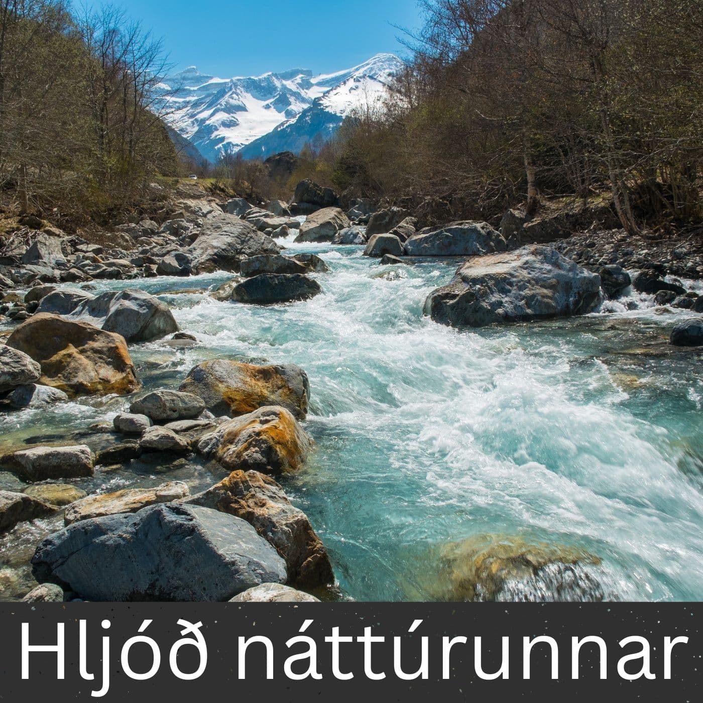 Hljóð náttúrunnar - Podcasty