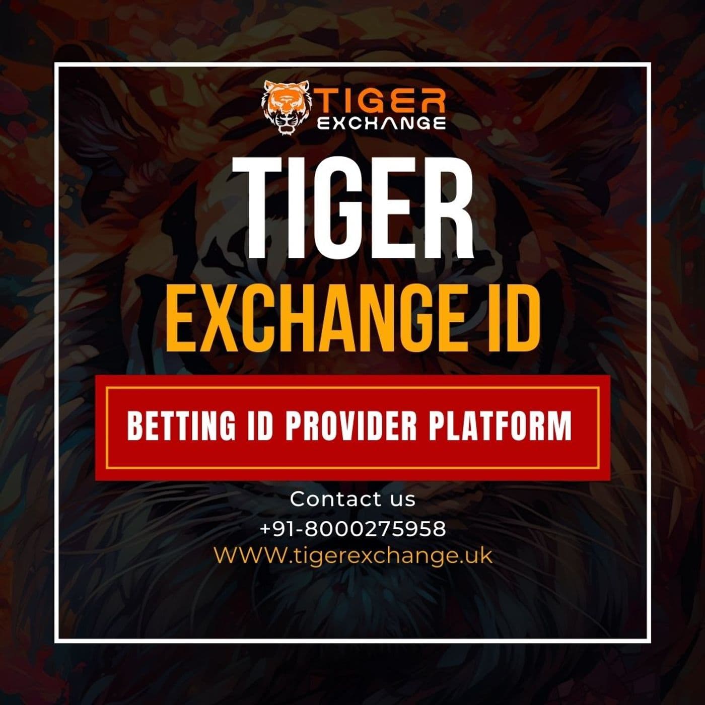 Secure Your Online Identity with Tiger E - Podcasts