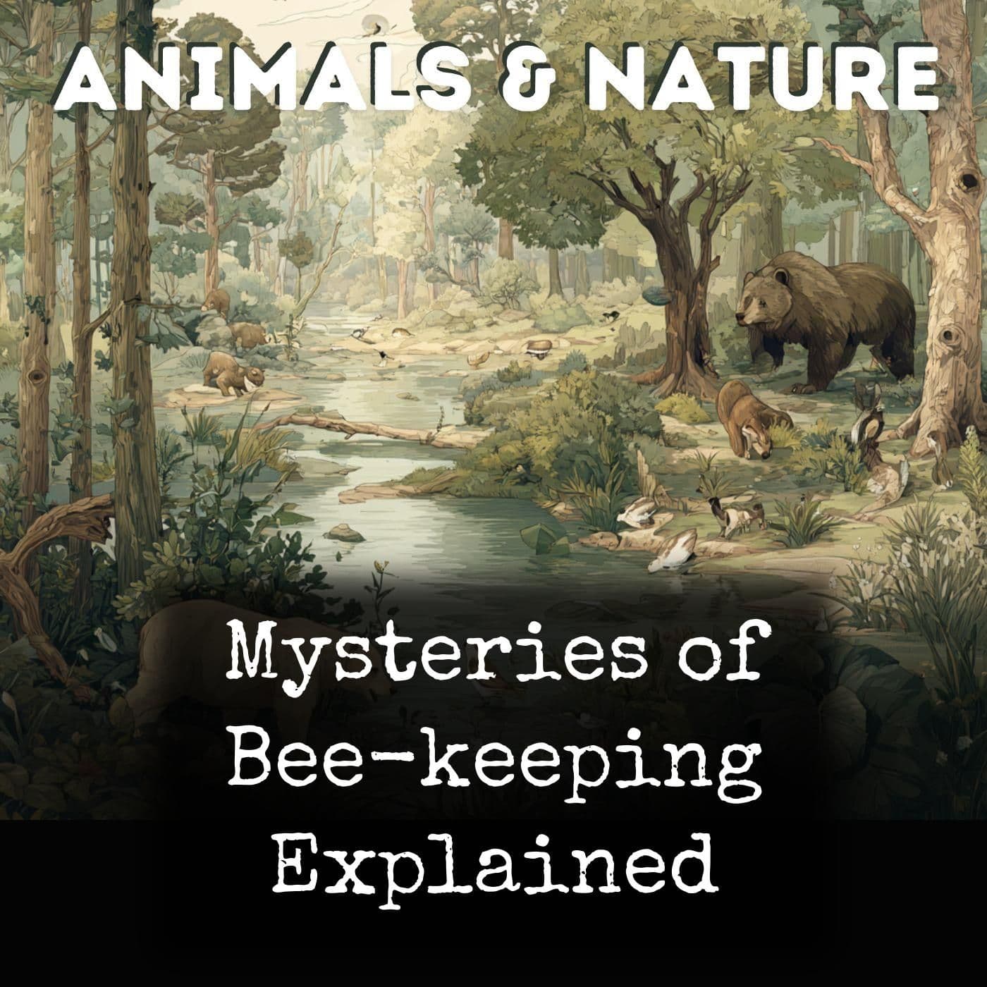 Mysteries of Bee-keeping Explained - Podcasts