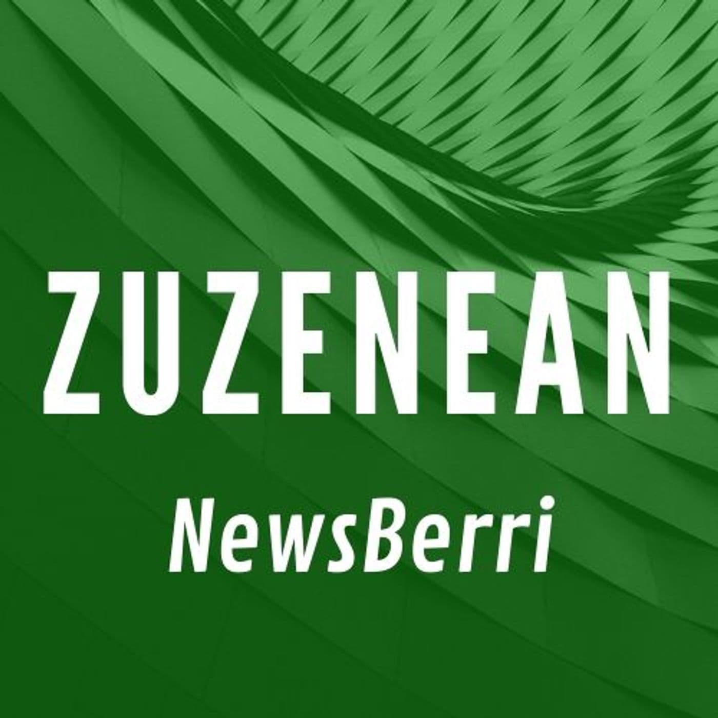 Zuzenean NewsBerri - Podcasts
