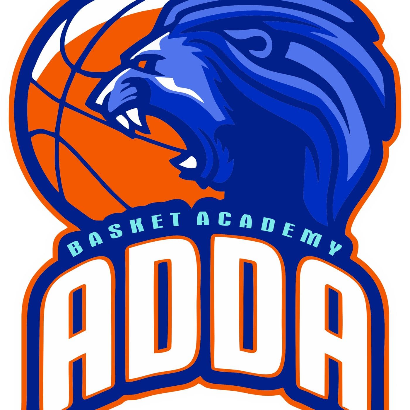 Basket Academy Podcast - Podcast