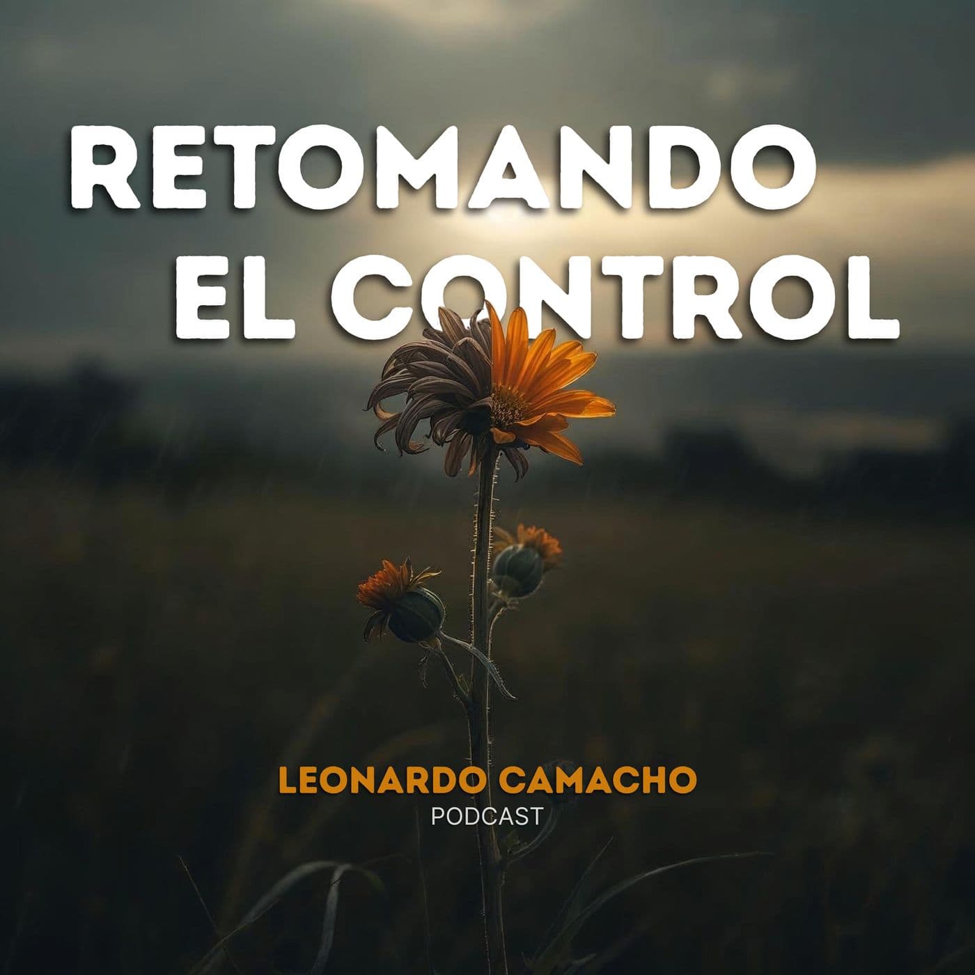 Retomando El Control - Podcasts