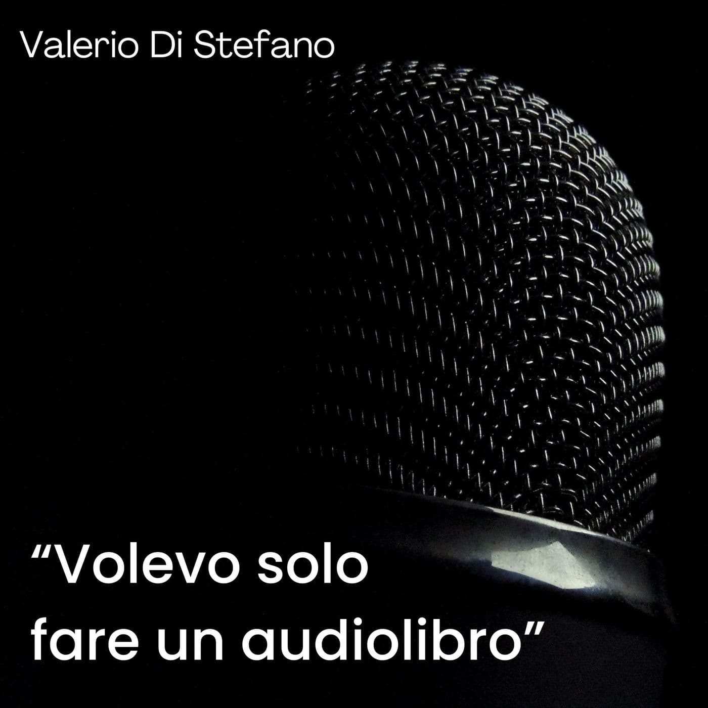 "Volevo solo fare un audiolibro" - Podcasts