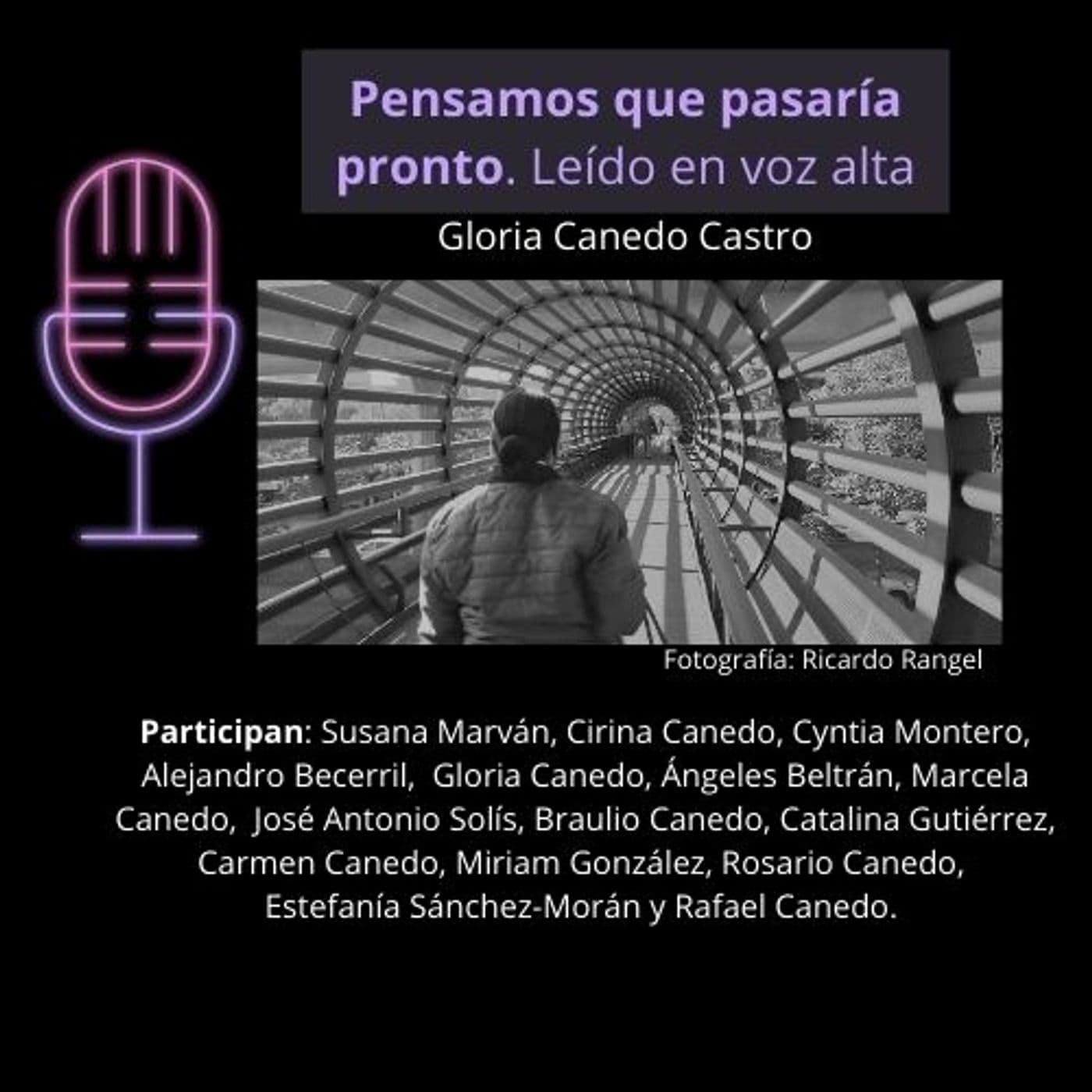 Pensamos que pasaría pronto - Podcasts