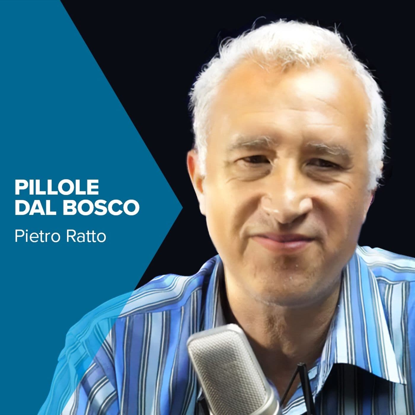 Pillole dal Bosco - Podcasts