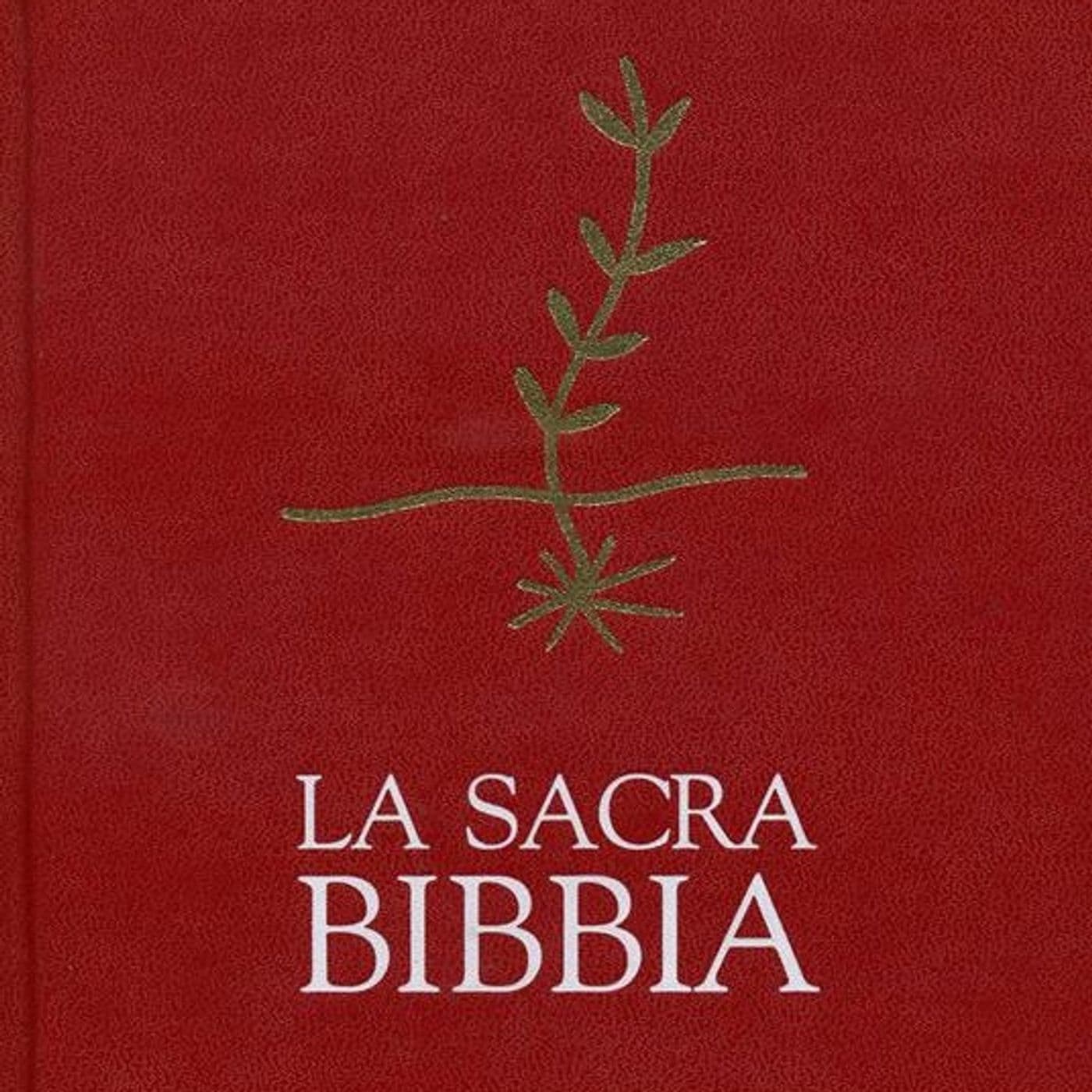 La Sacra Bibbia (The Holy Bible) - Podcast
