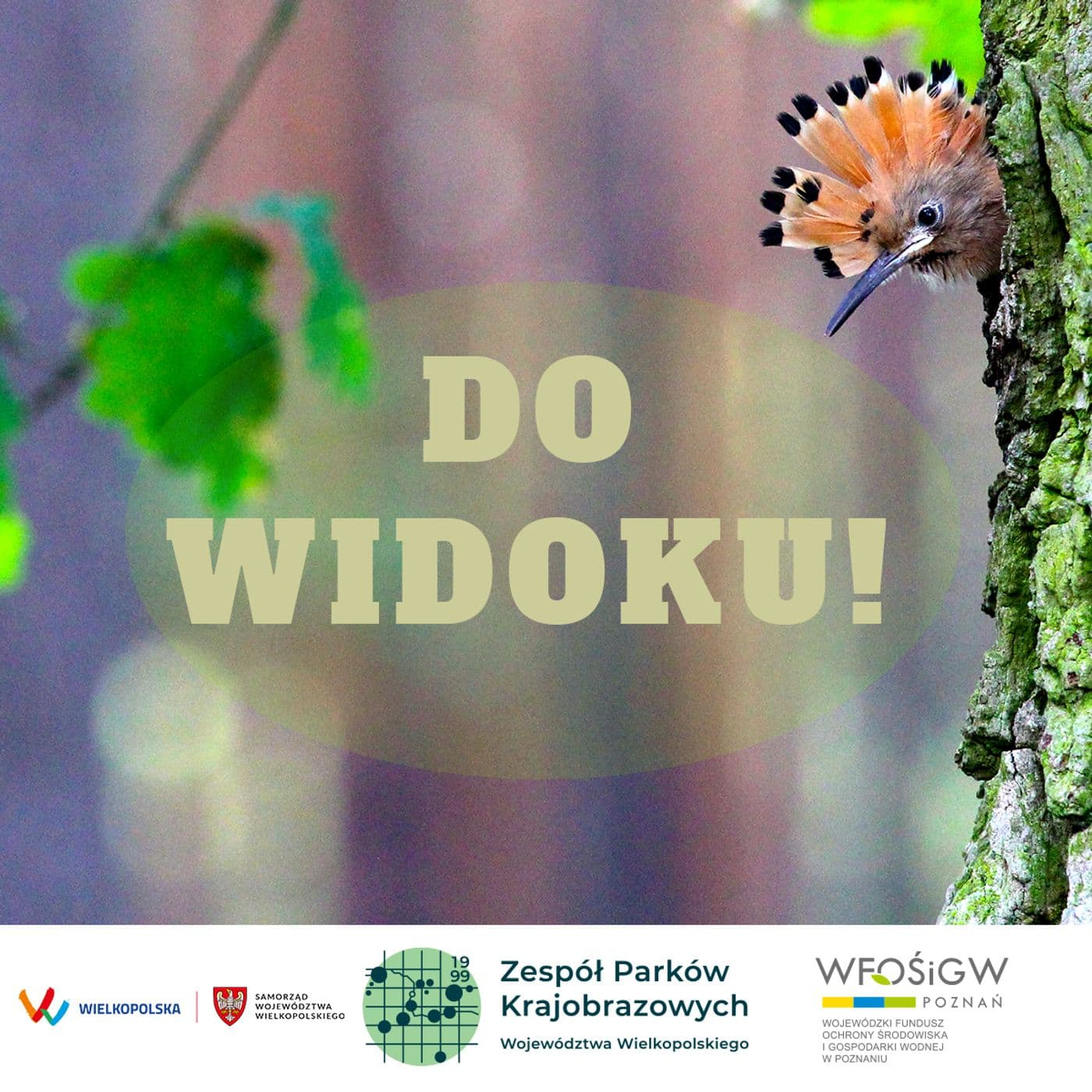 Do Widoku! - Podcasts