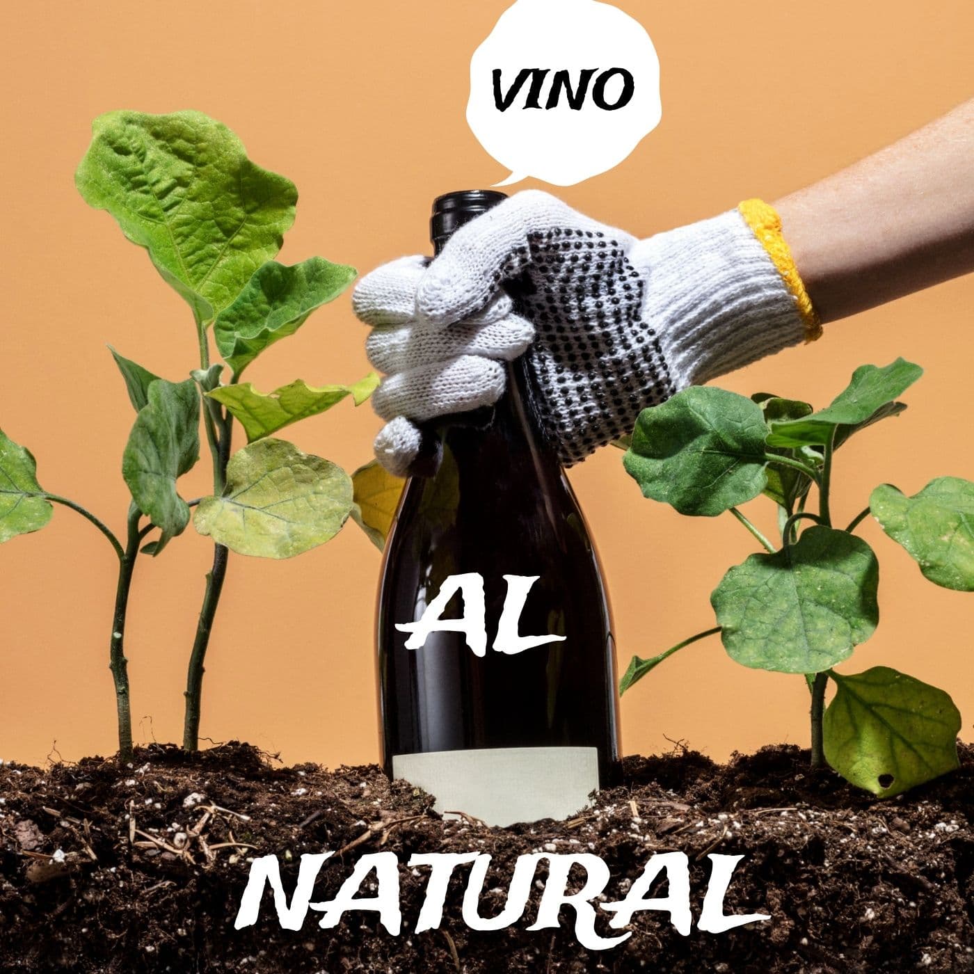 Vino al Natural - Podcasts