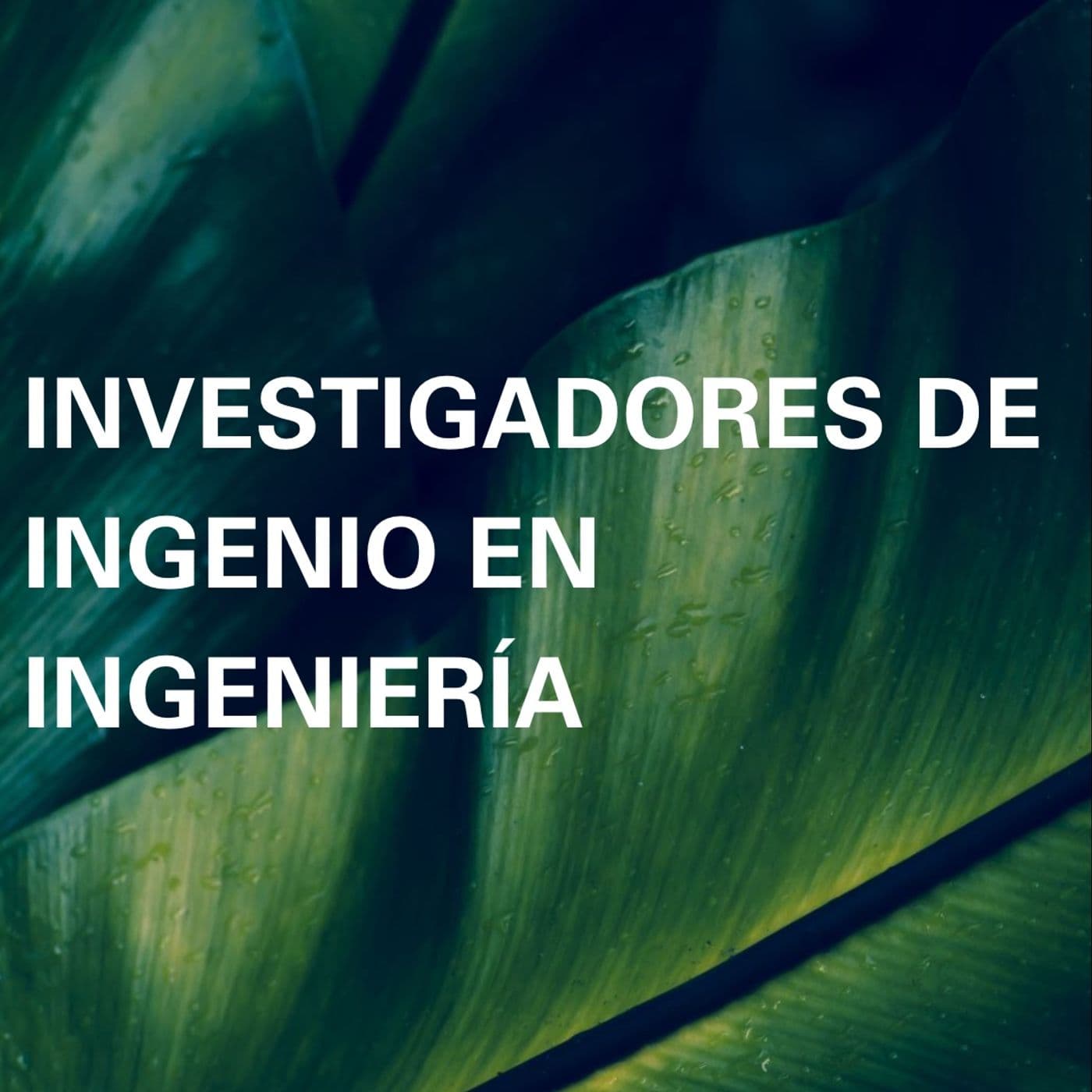 Investigadores de ingenio en ingeniería - Podcast