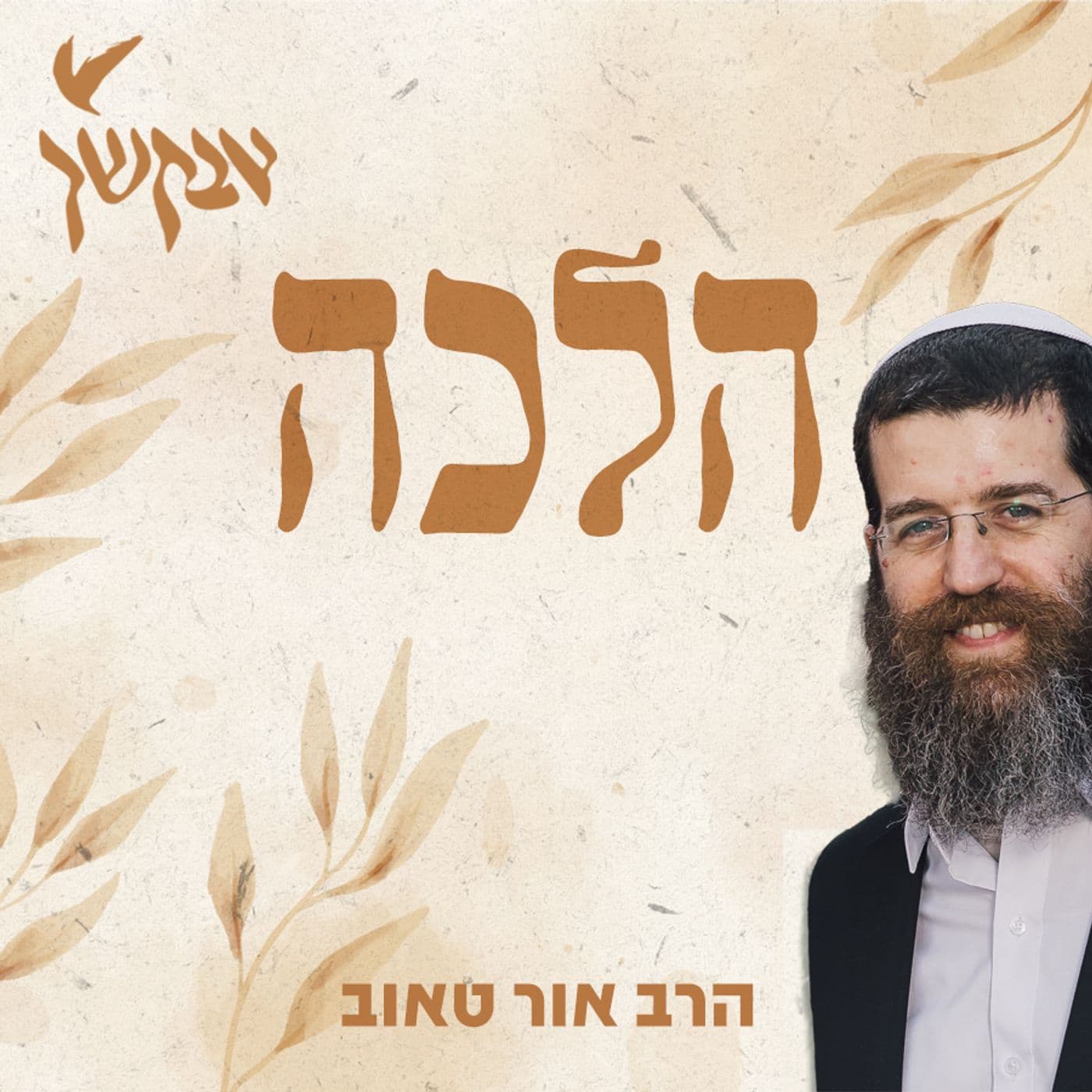 הלכה עם הרב אור טאוב - Podcasts