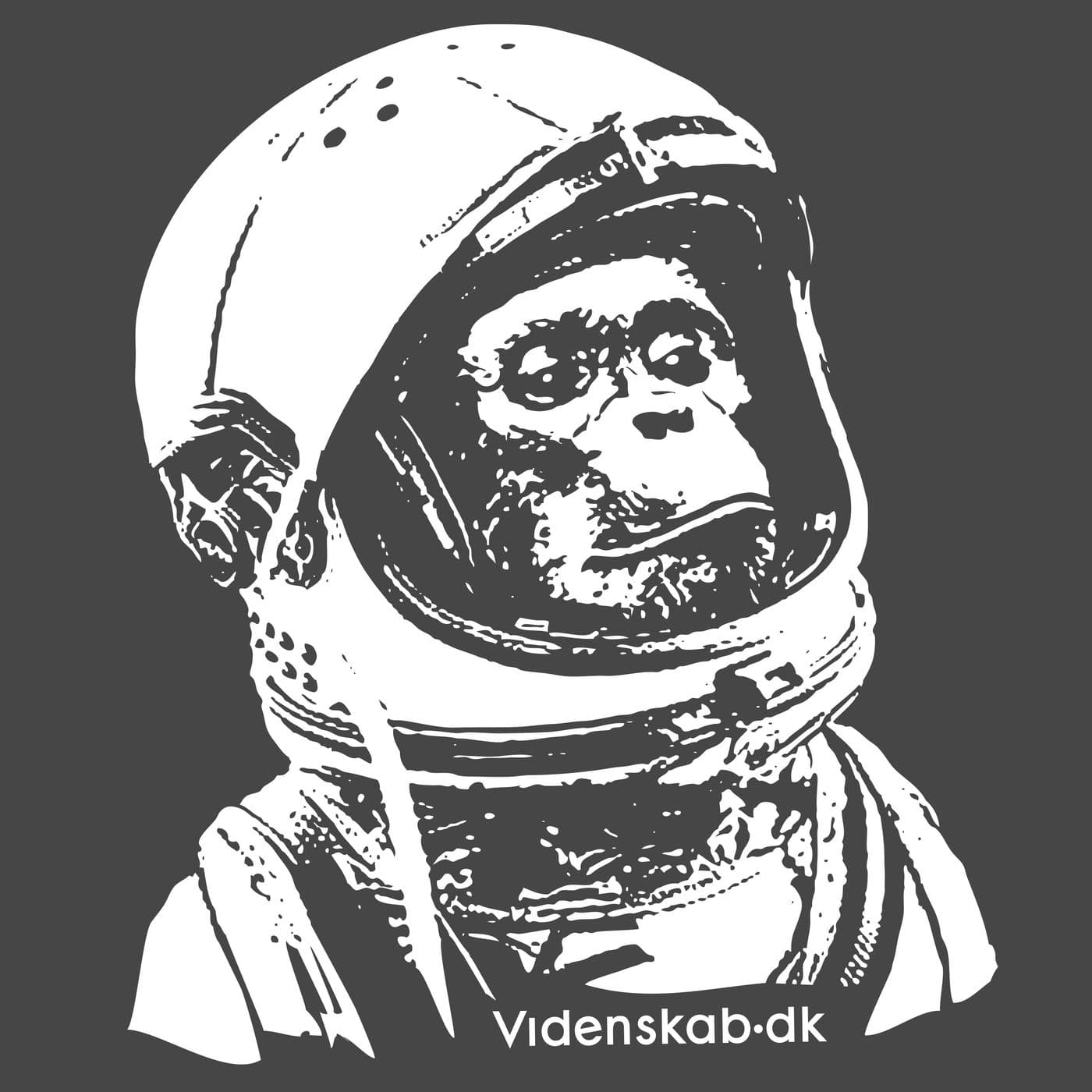 Videnskab.dk - Podcasty