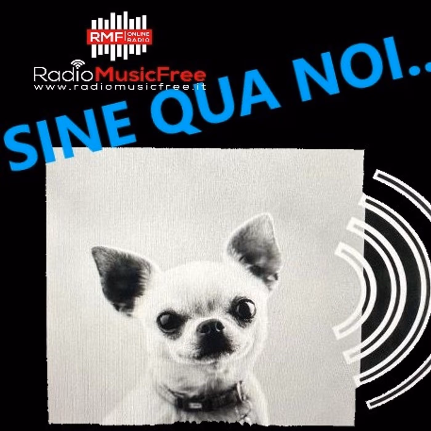 SINE QUA NOI .... essere dire fare