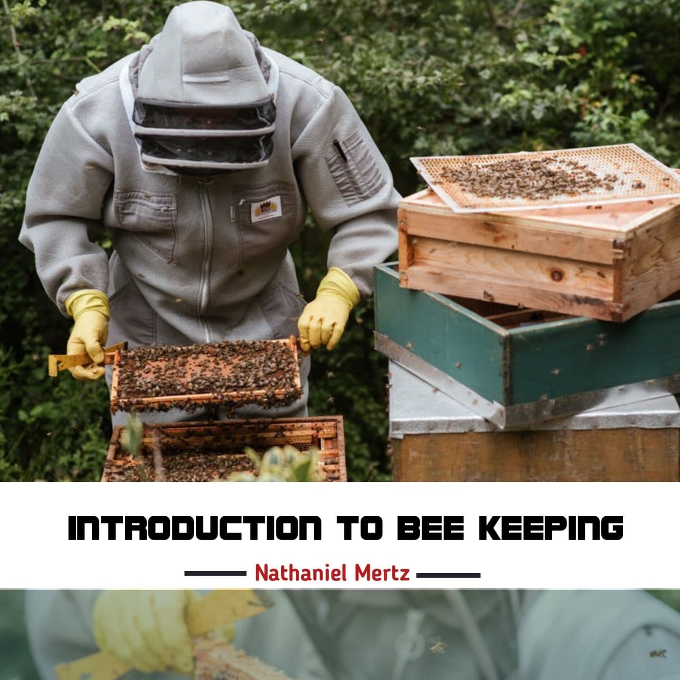 Introduction To Bee Keeping - Podcasts