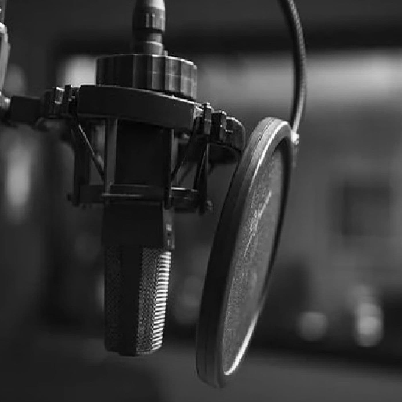 Verba Volant On Air a.s. 2021_2022 - Podcast