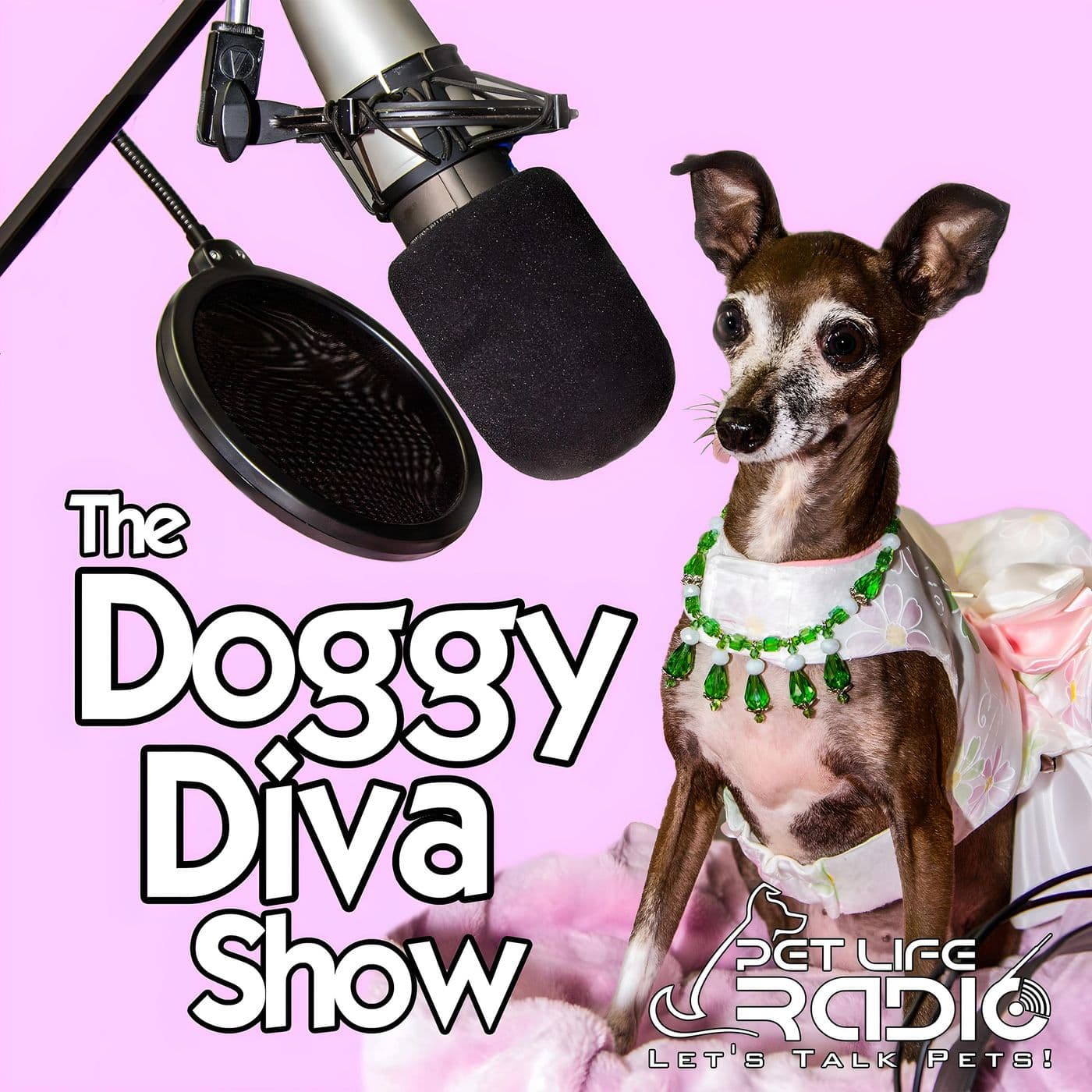 The Doggy Diva Show on Pet Life Radio - Podcast