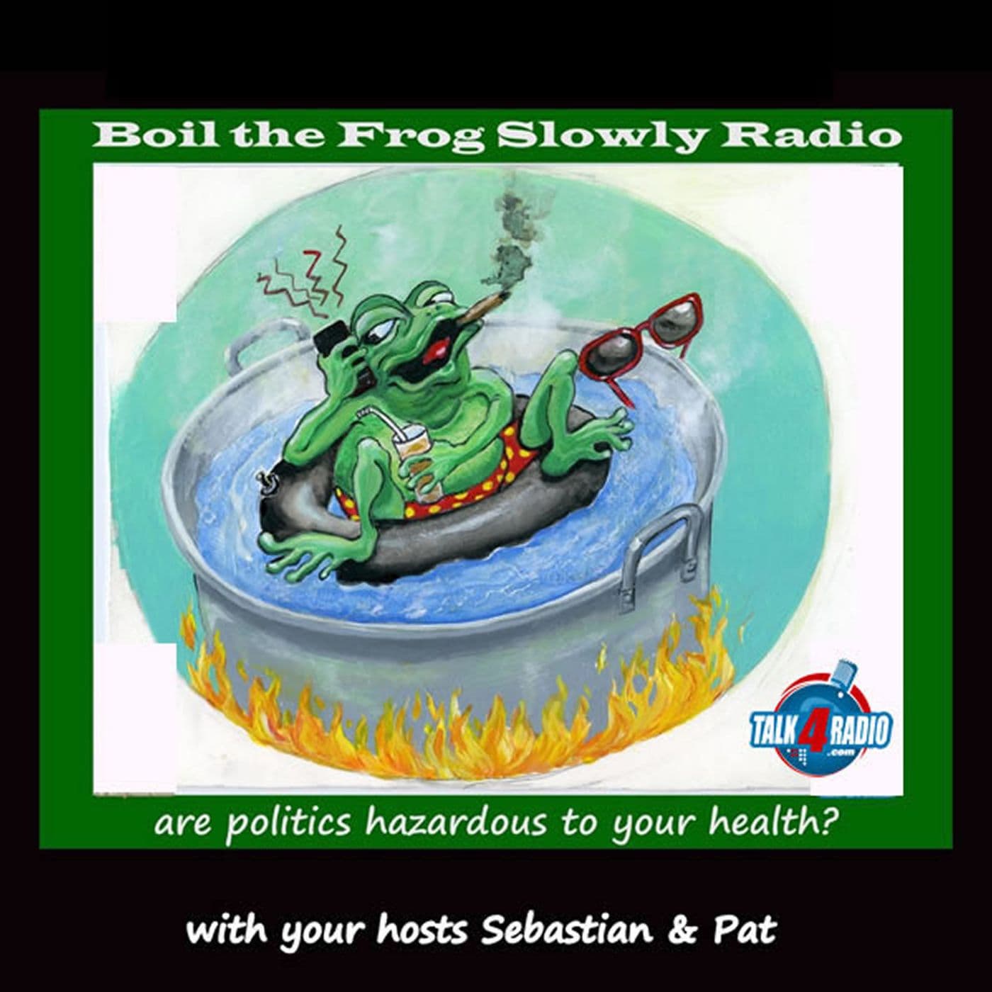 Boil The Frog Slowly - Podcasts