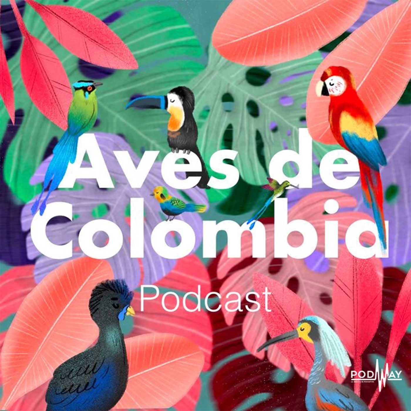 Aves de Colombia - Podcasts