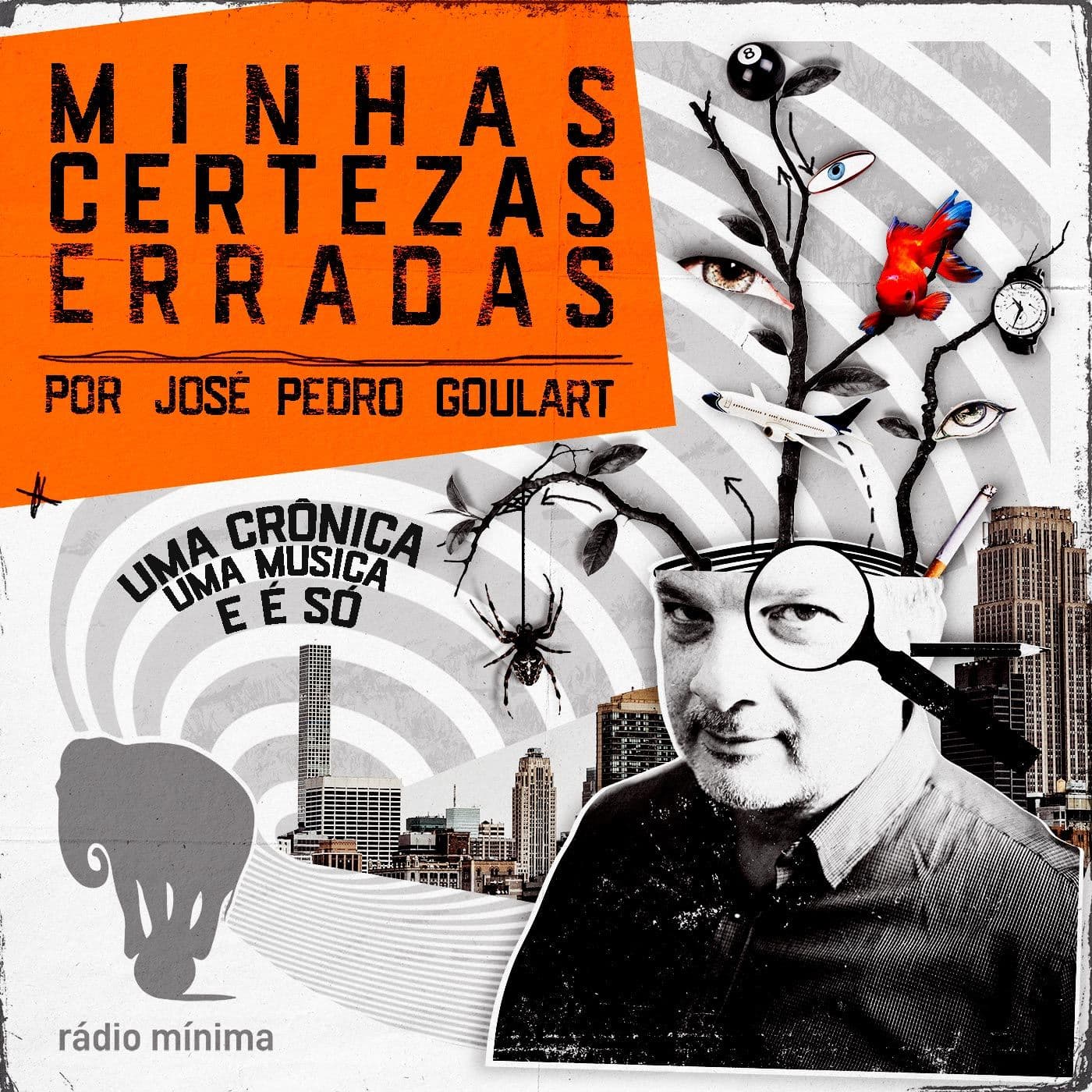 Minhas Certezas Erradas - Podcasts