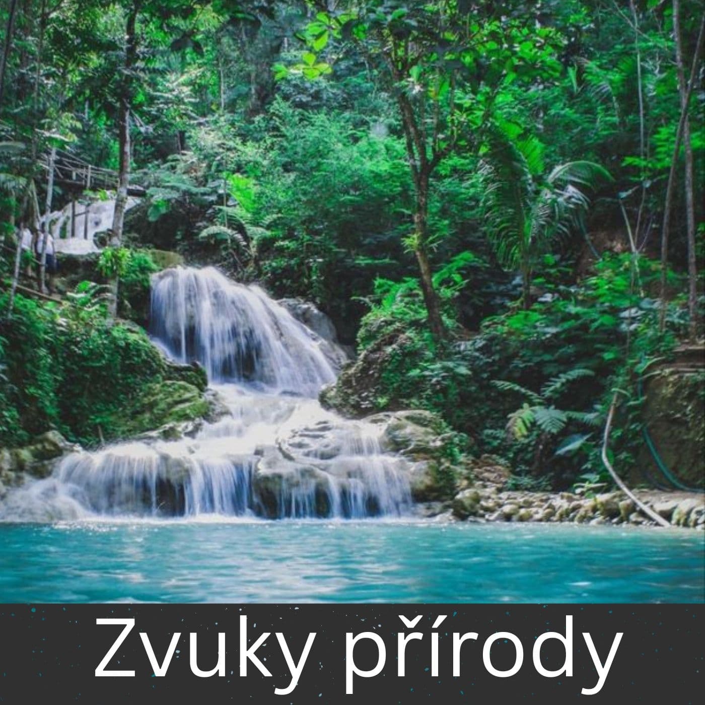 Zvuky přírody - Podcasts