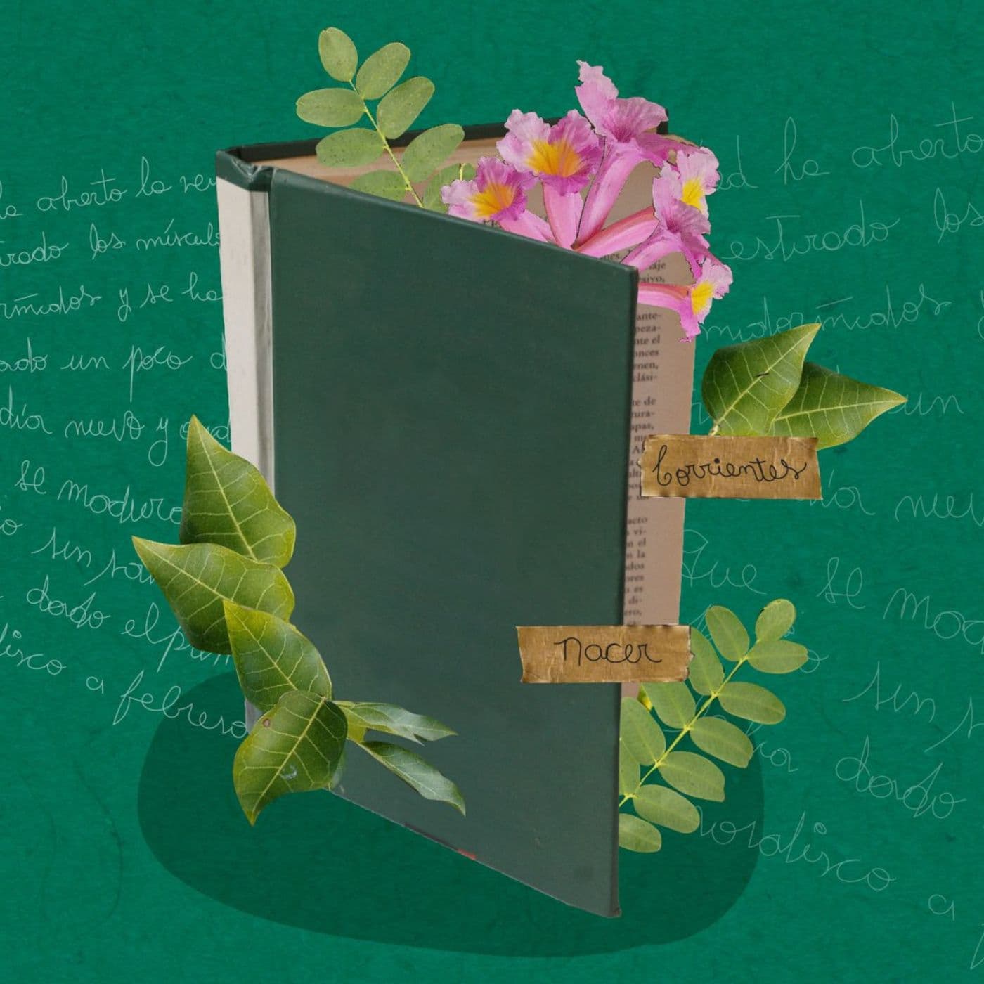 Autores en sus voces