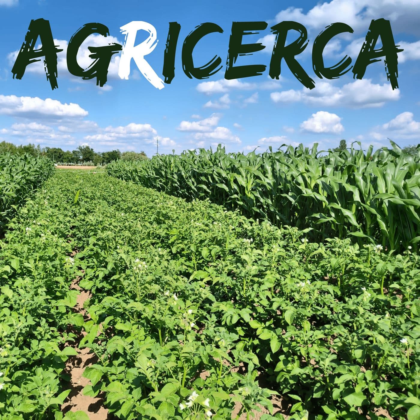 agRicerca - Podcast