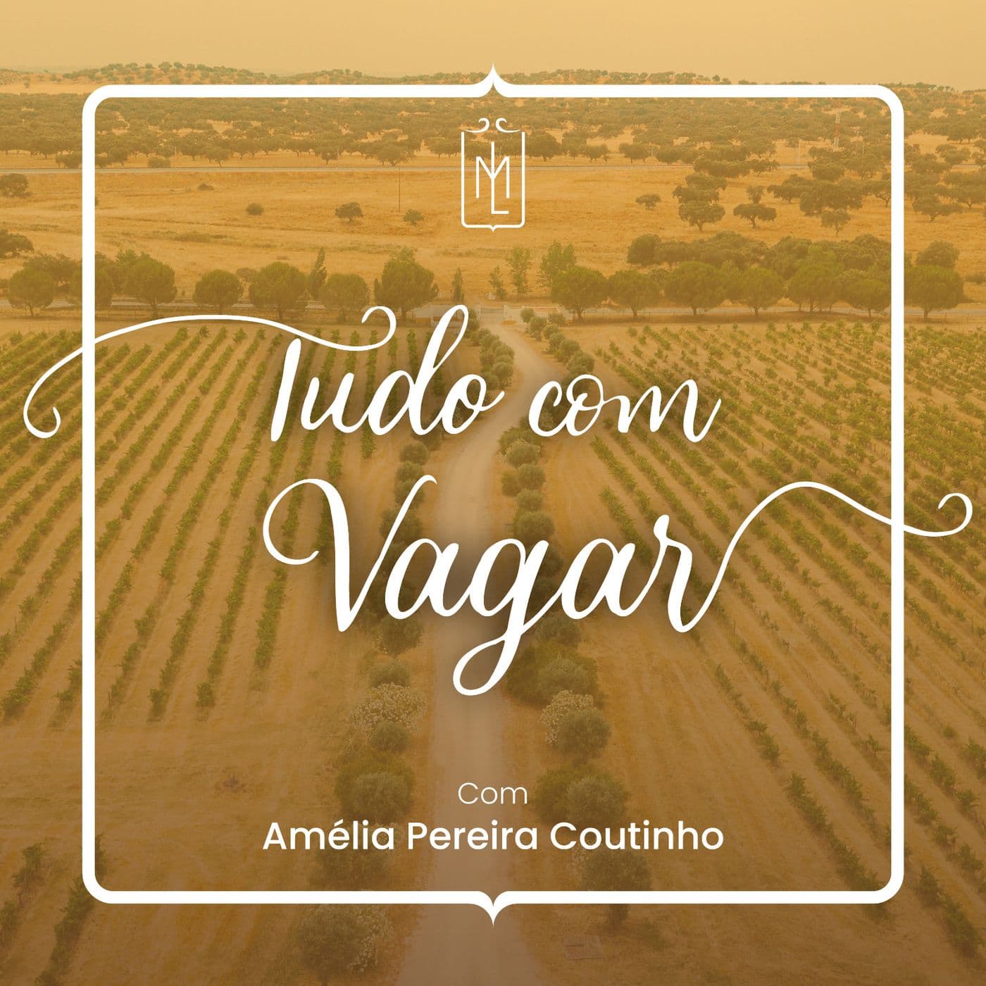 Tudo com vagar - Podcasts