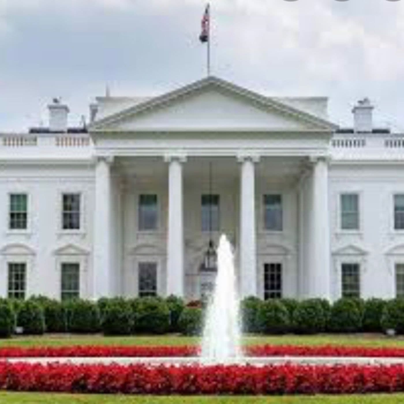 2020 Road to The White House - Podcasts