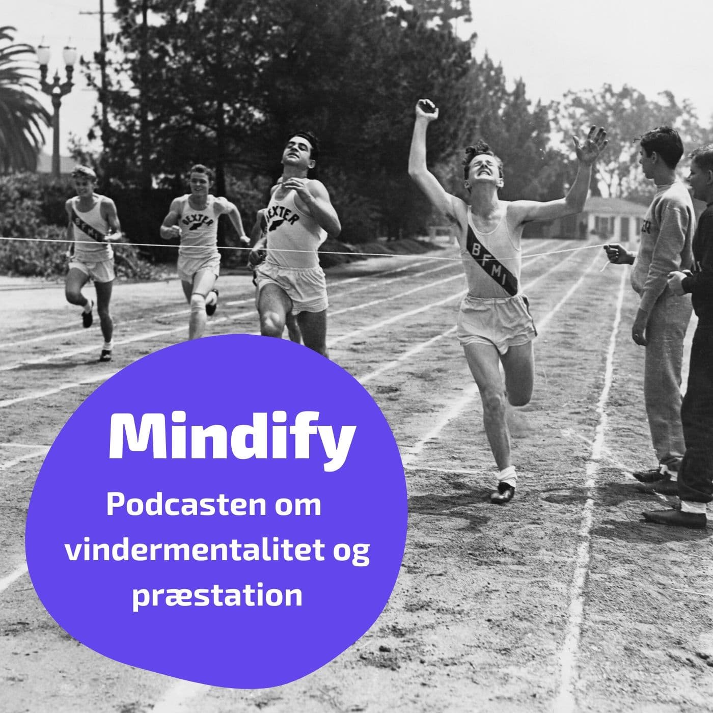 Mindify - Podcasts