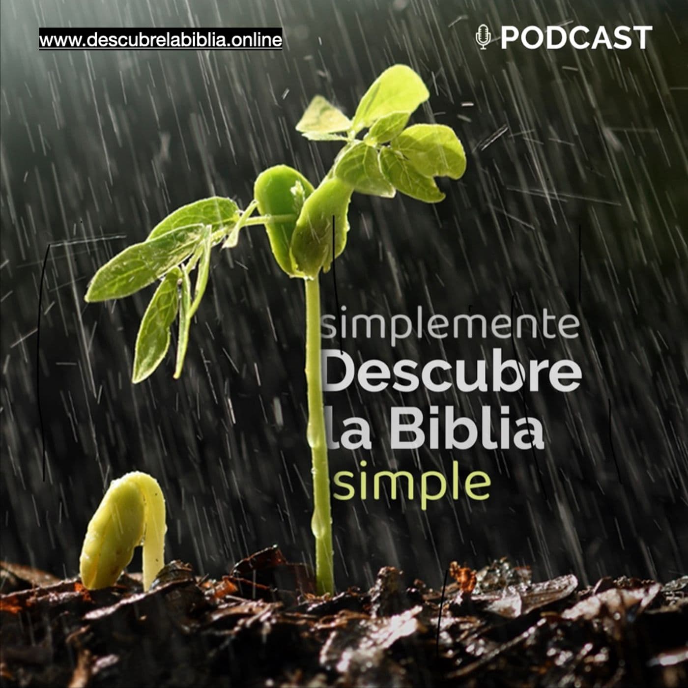 Simplemente Descubre la Biblia Simple. (Relax) - Podcasts