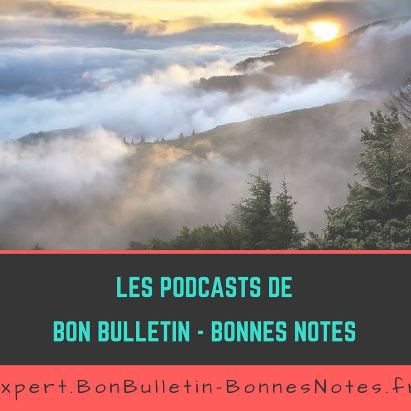 BonBulletin-BonnesNotes - Podcasts - Podcasts
