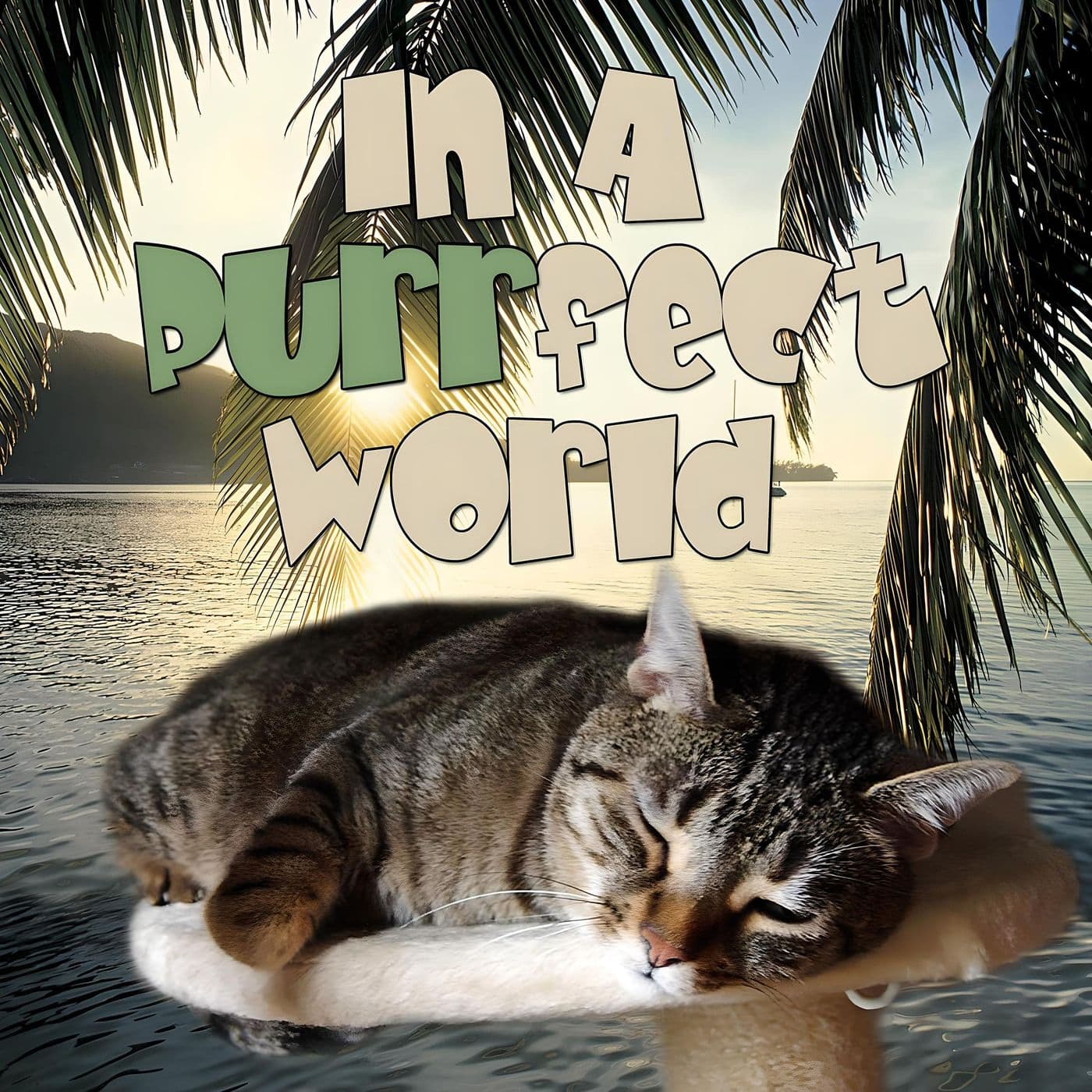 In A Purrfect World - Pet Life Radio Original - Podcast
