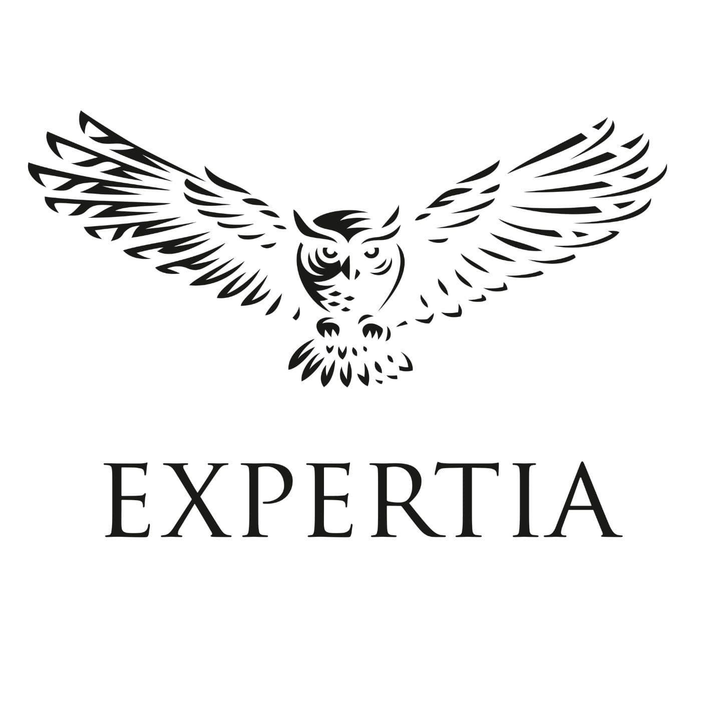 Wydawnictwo Biznesowe Expertia - Podcast