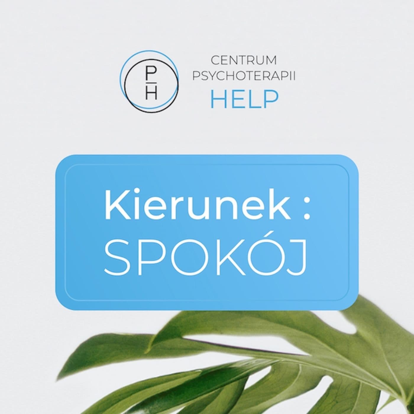 Kierunek: spokój - Podcasty